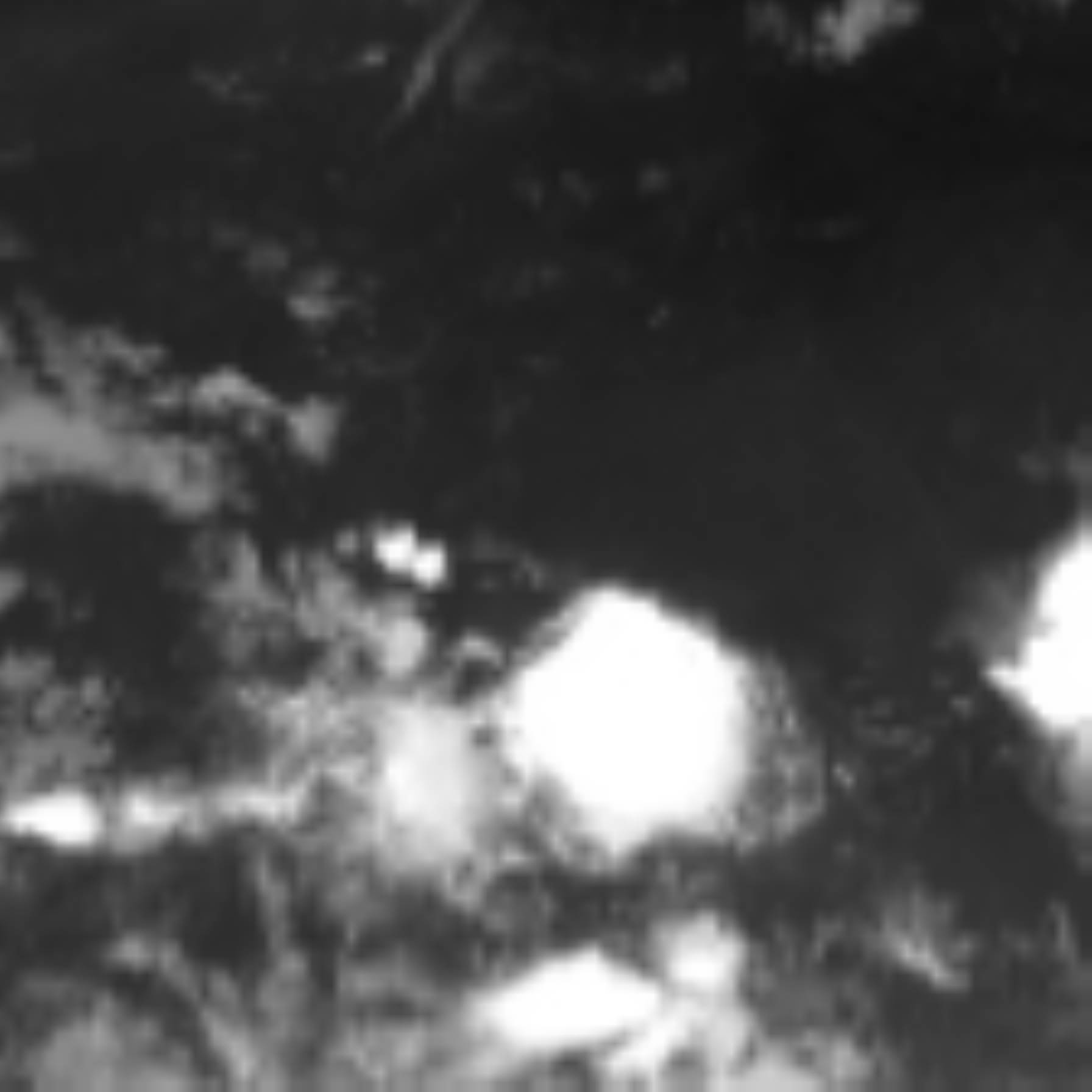 satLayer