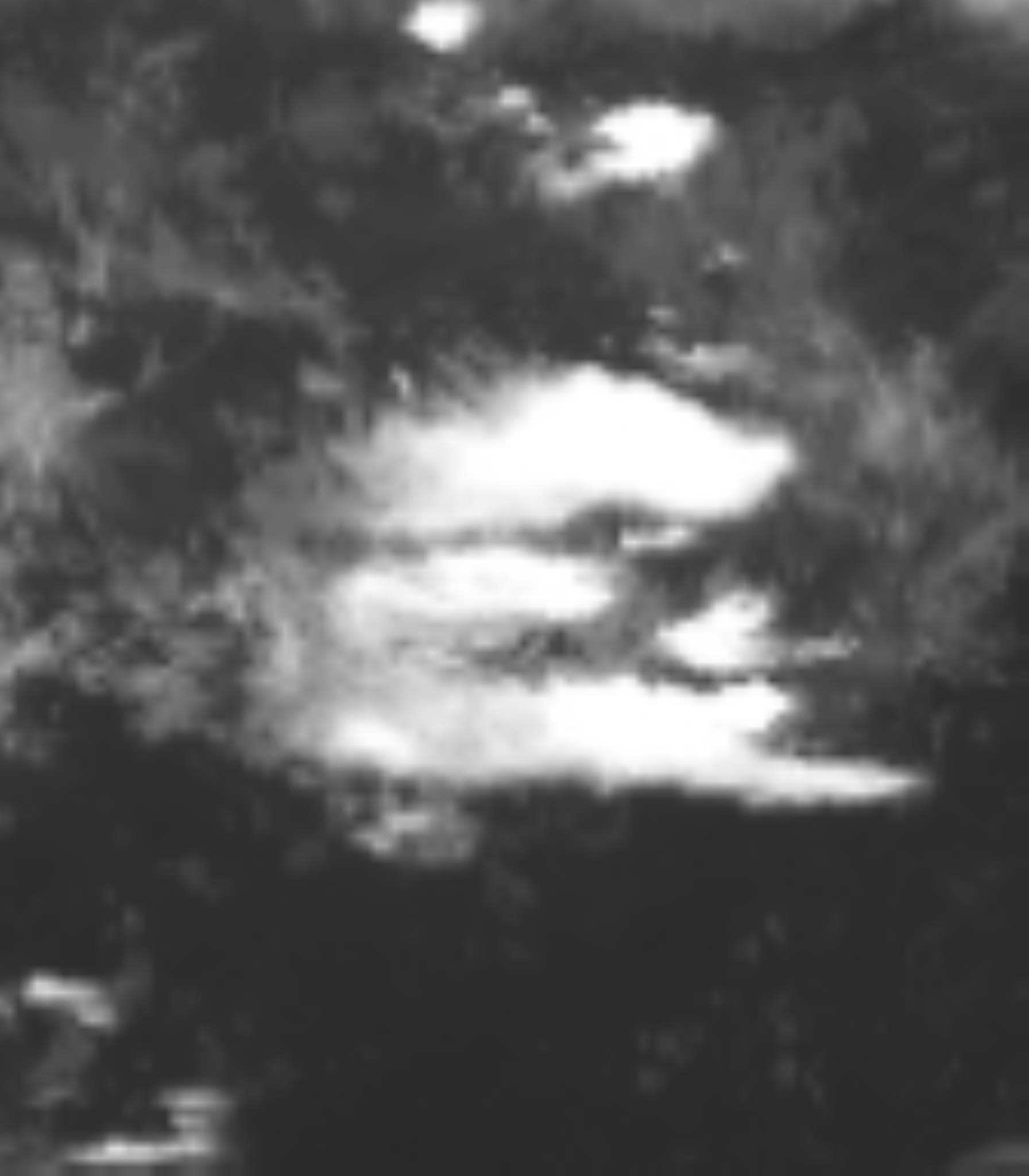 satLayer