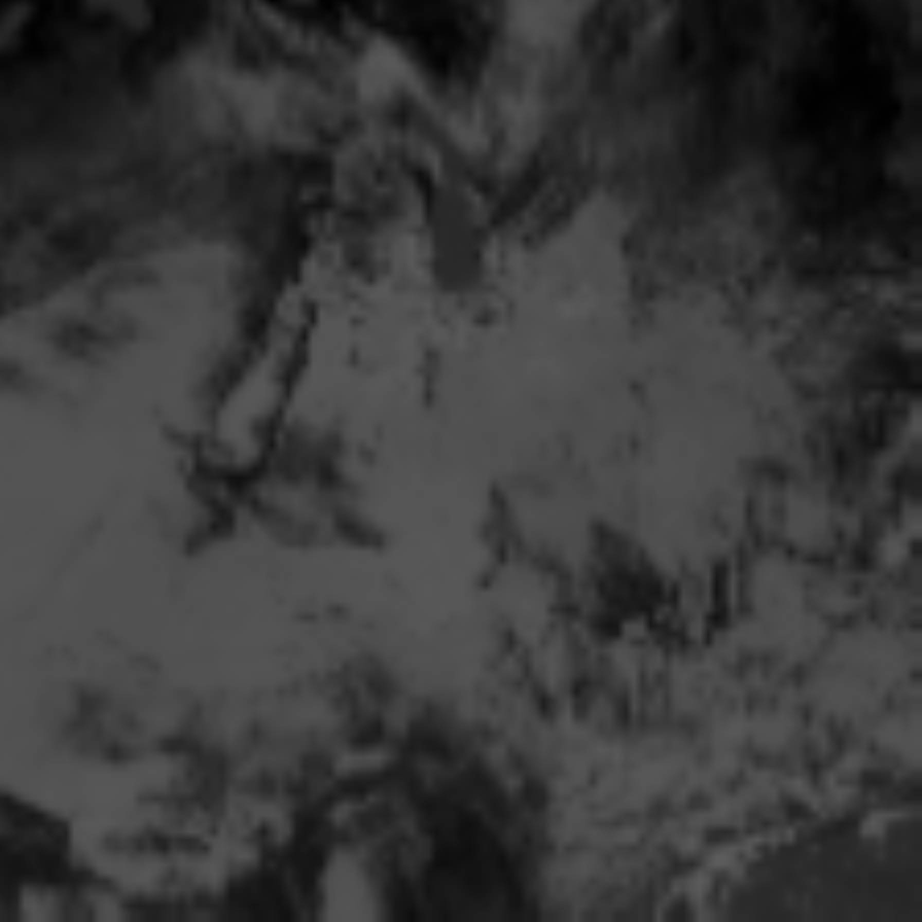 satLayer