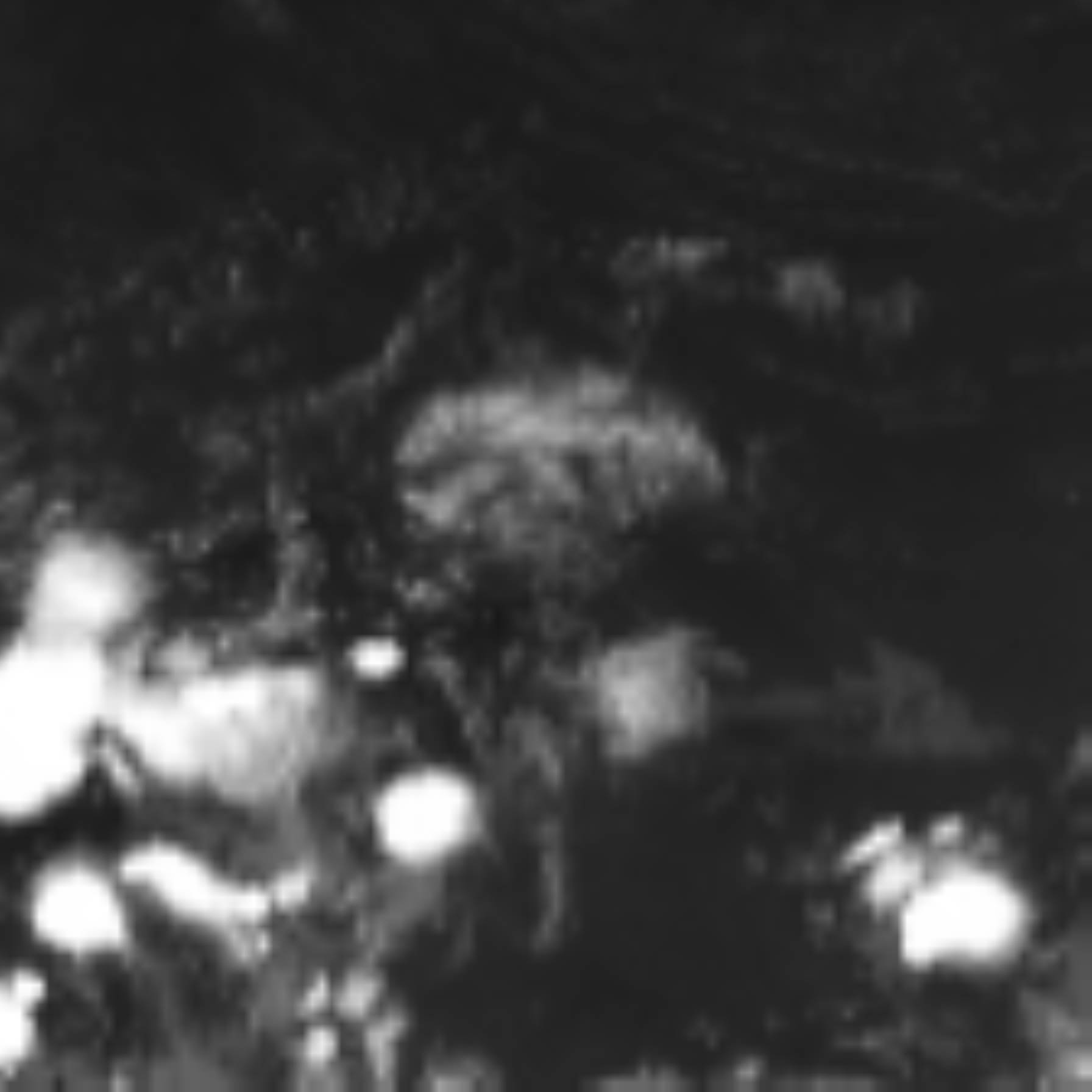 satLayer
