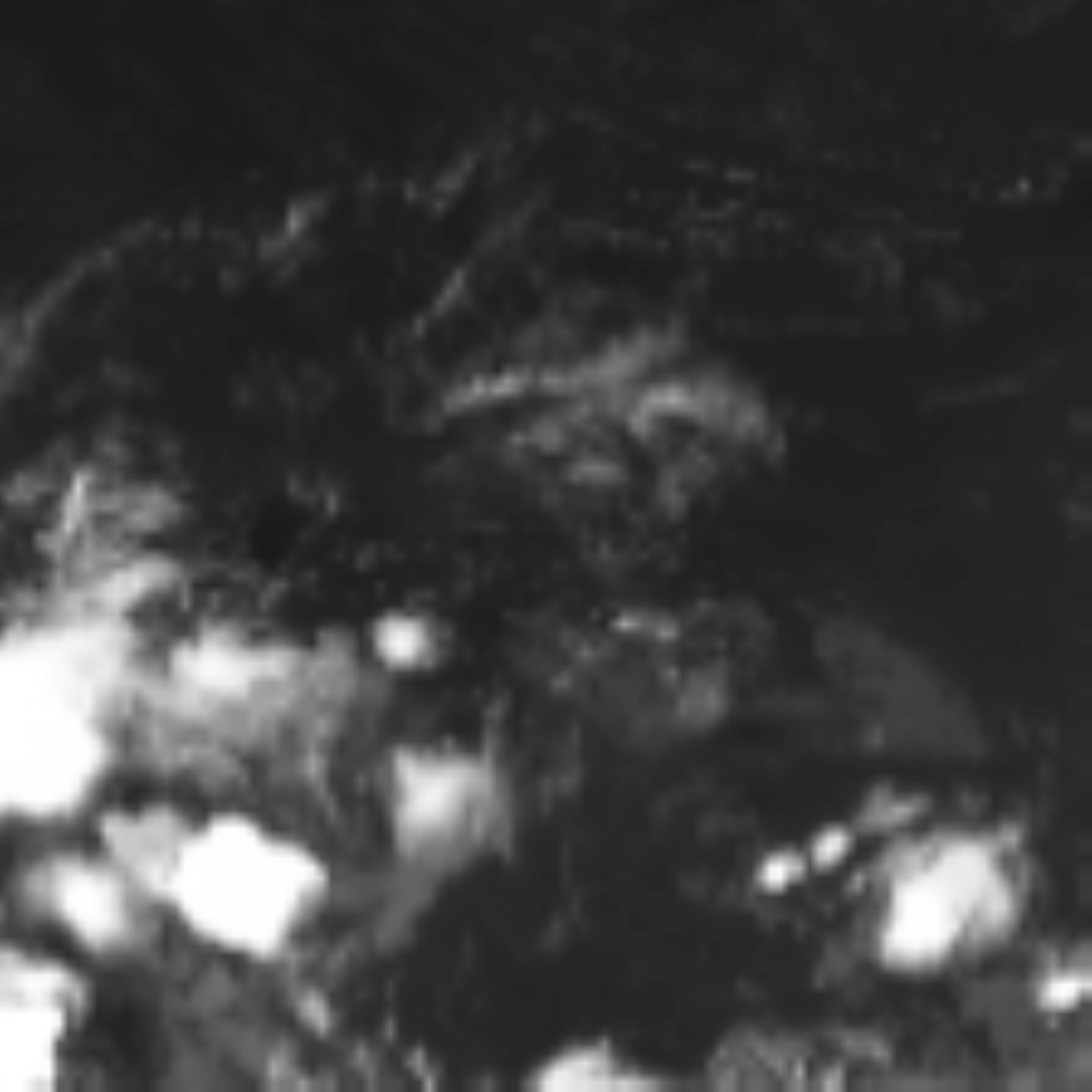 satLayer