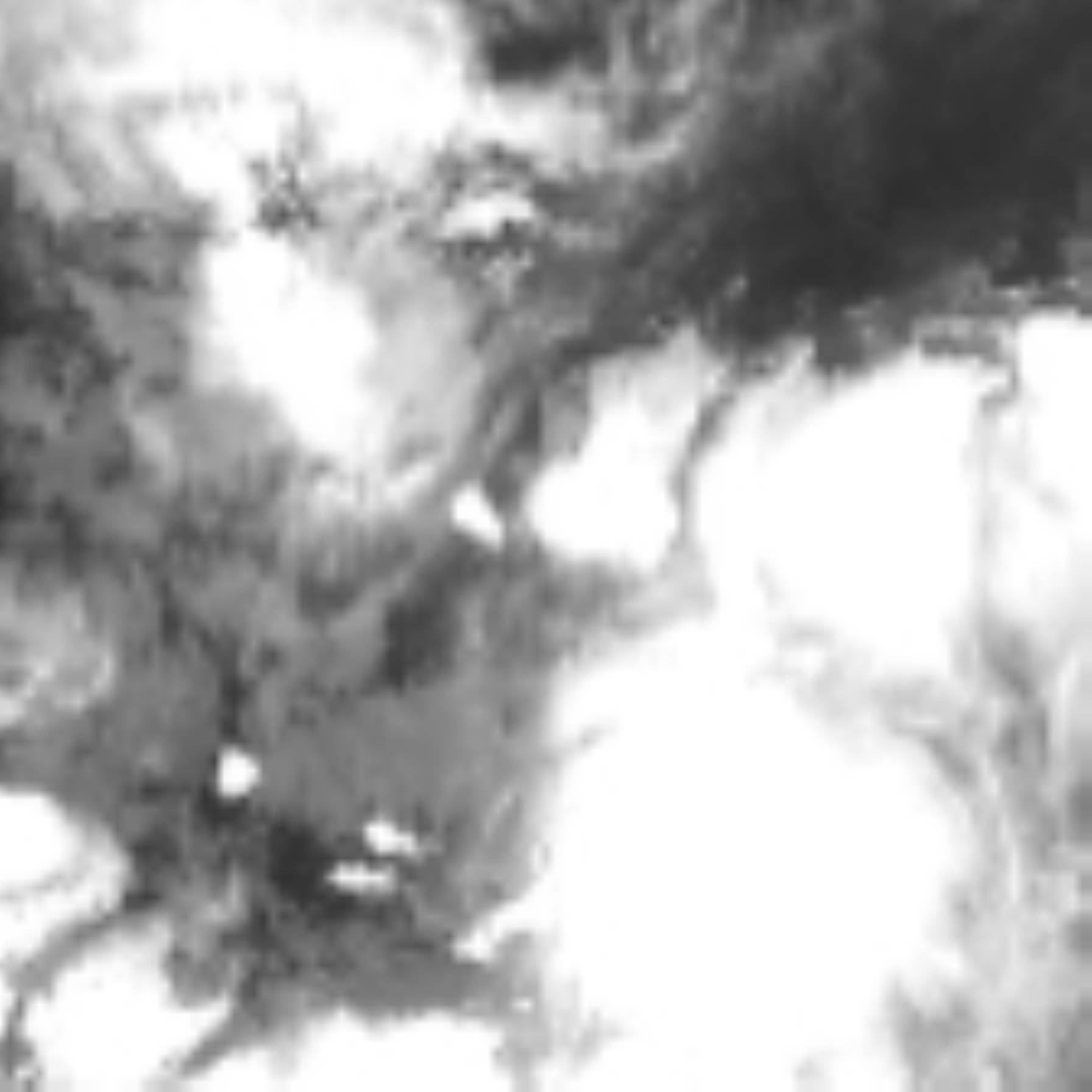 satLayer