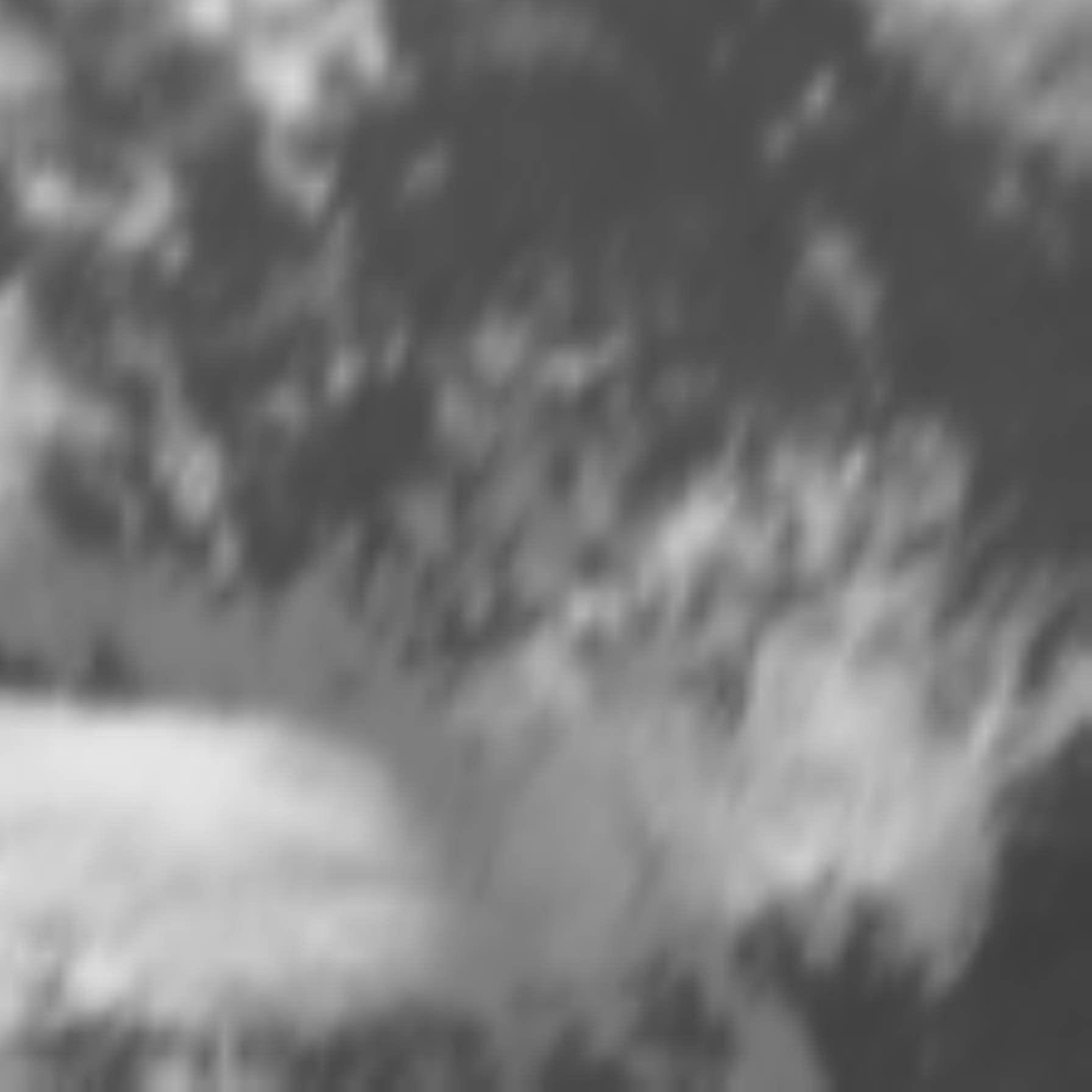satLayer