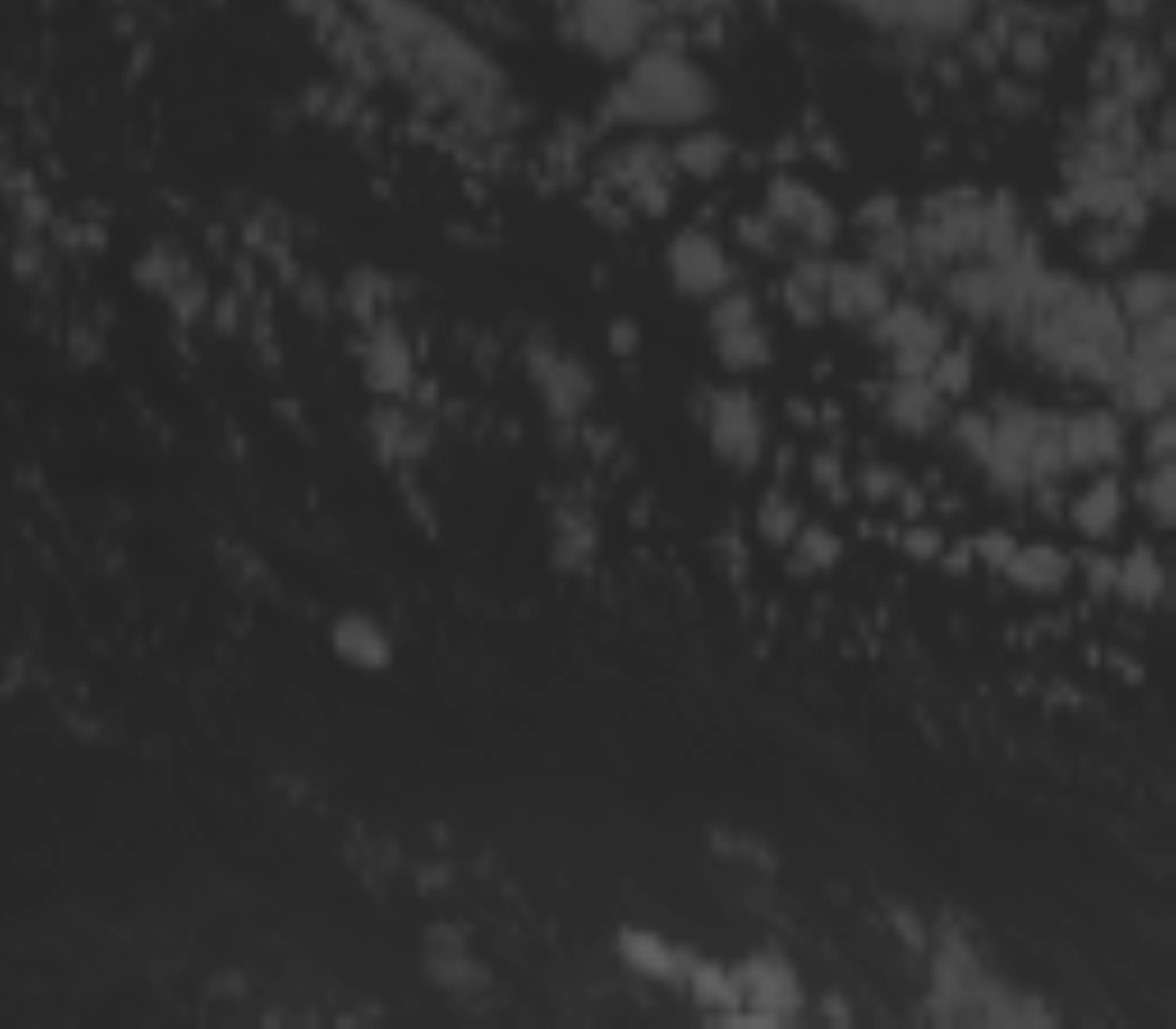 satLayer