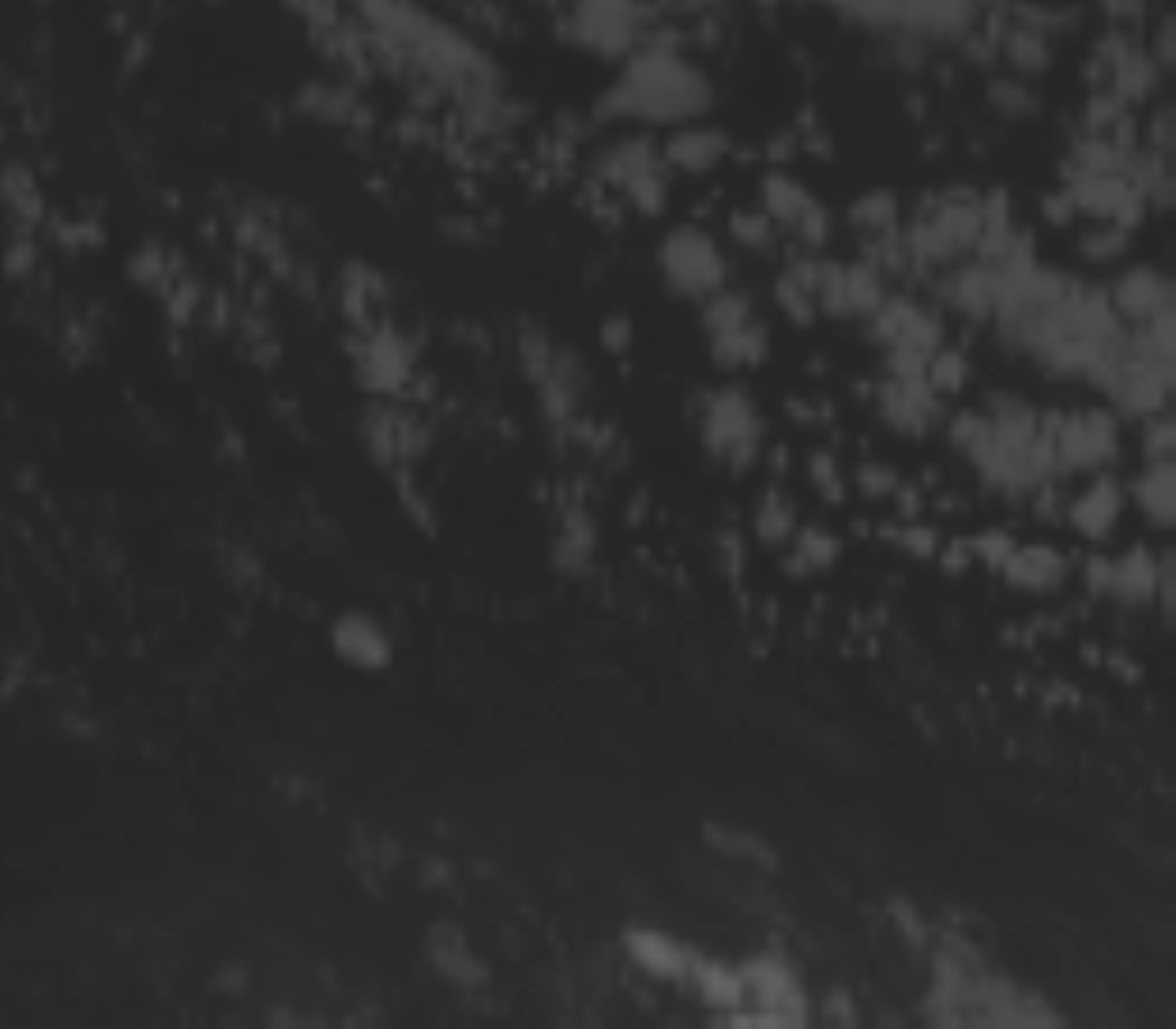 satLayer