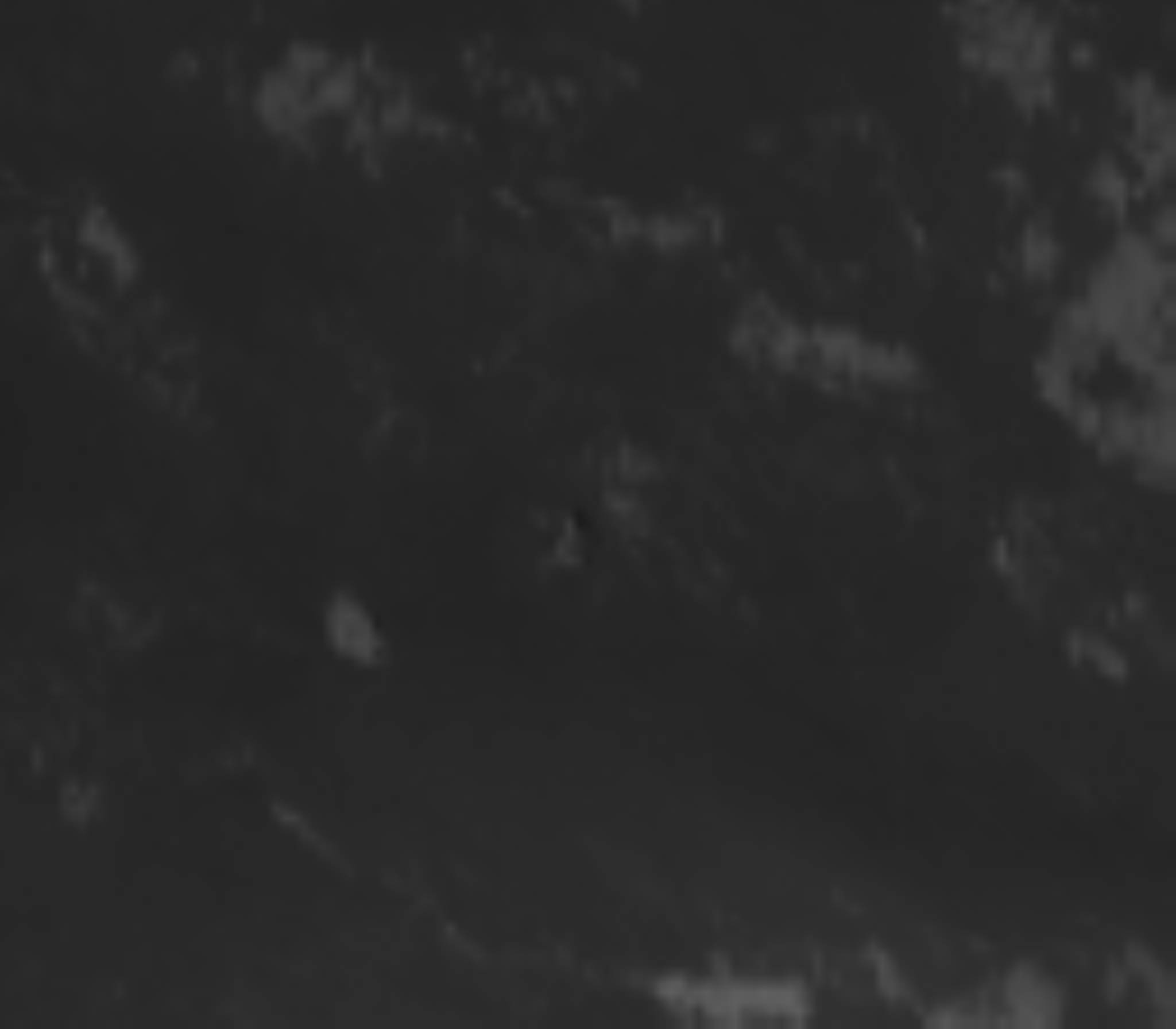 satLayer