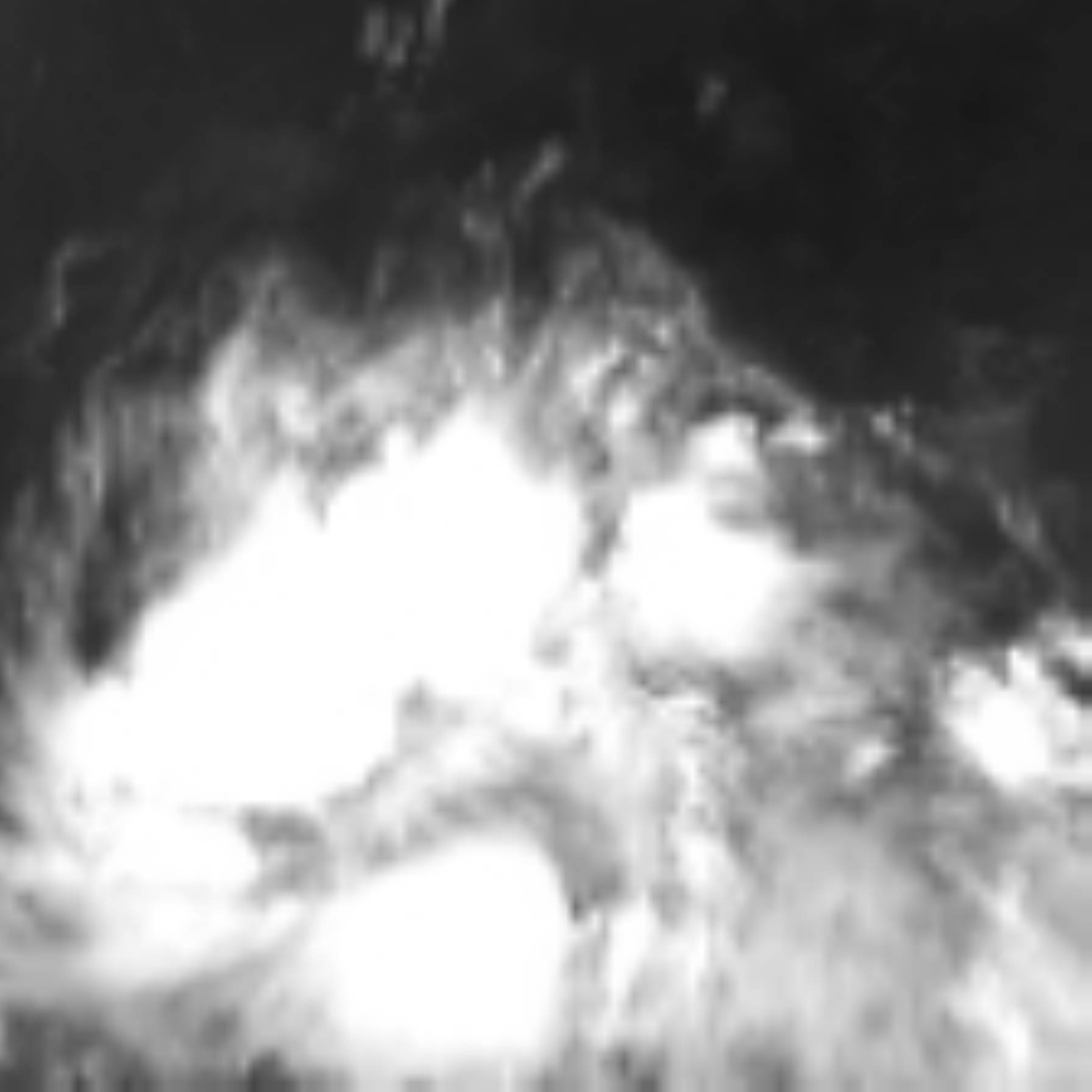 satLayer