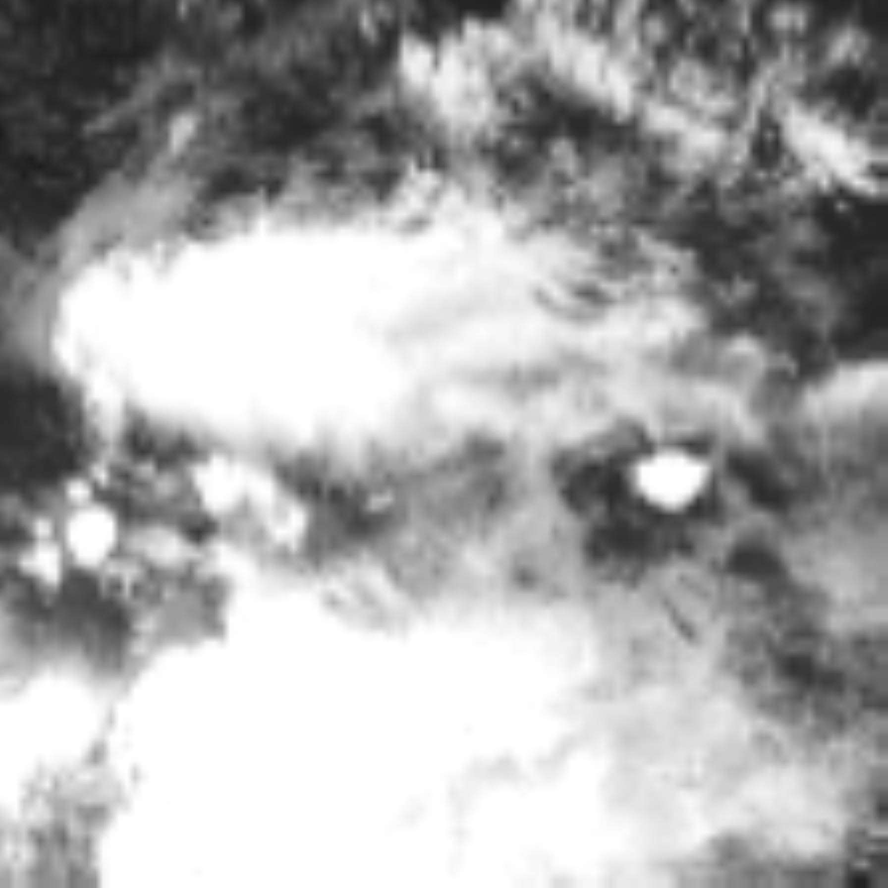 satLayer