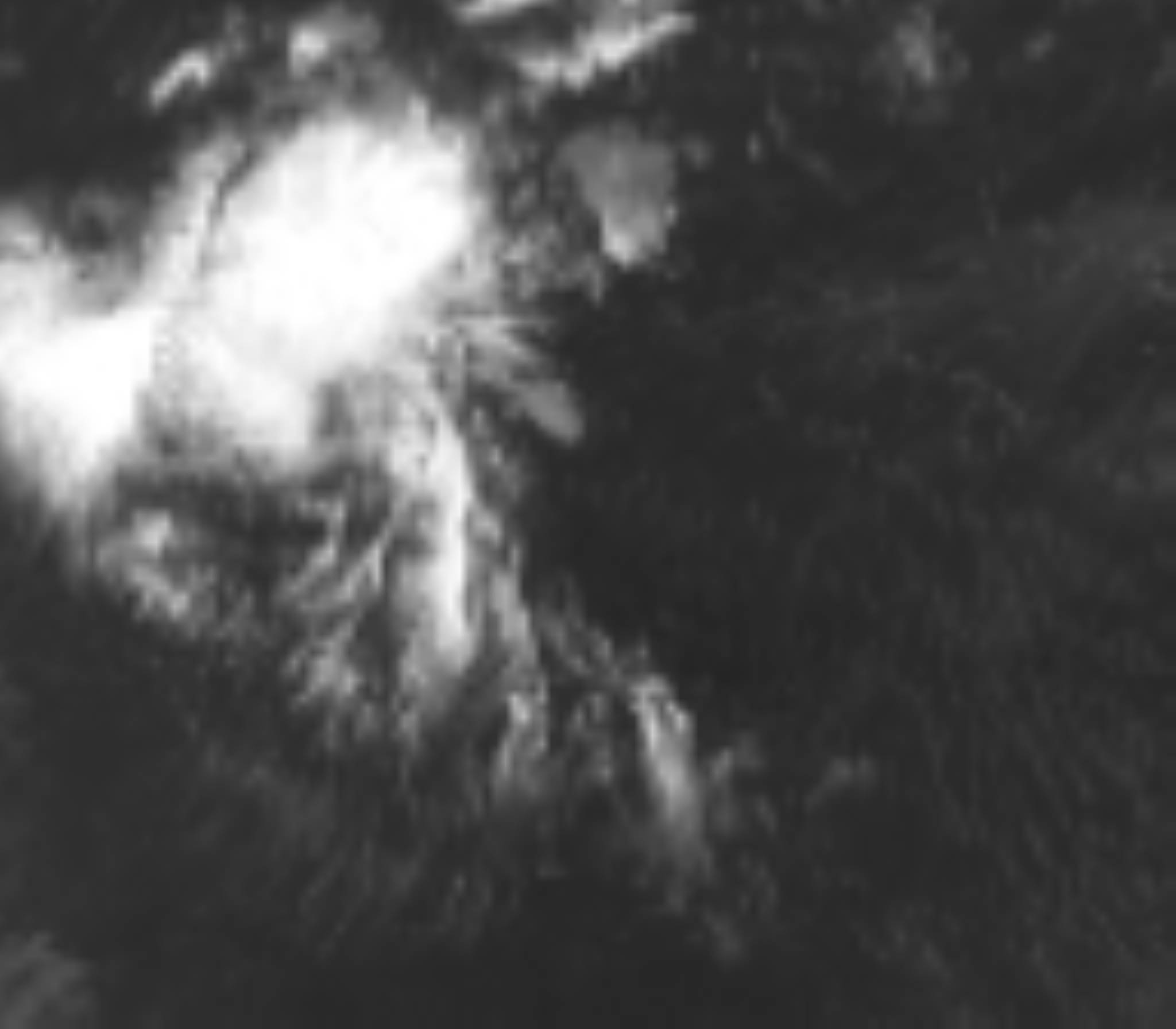 satLayer