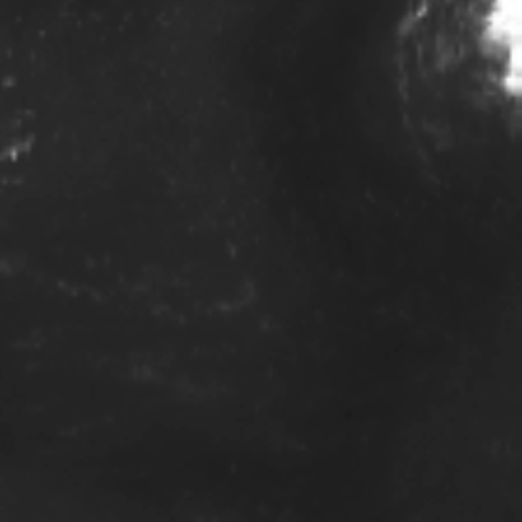 satLayer