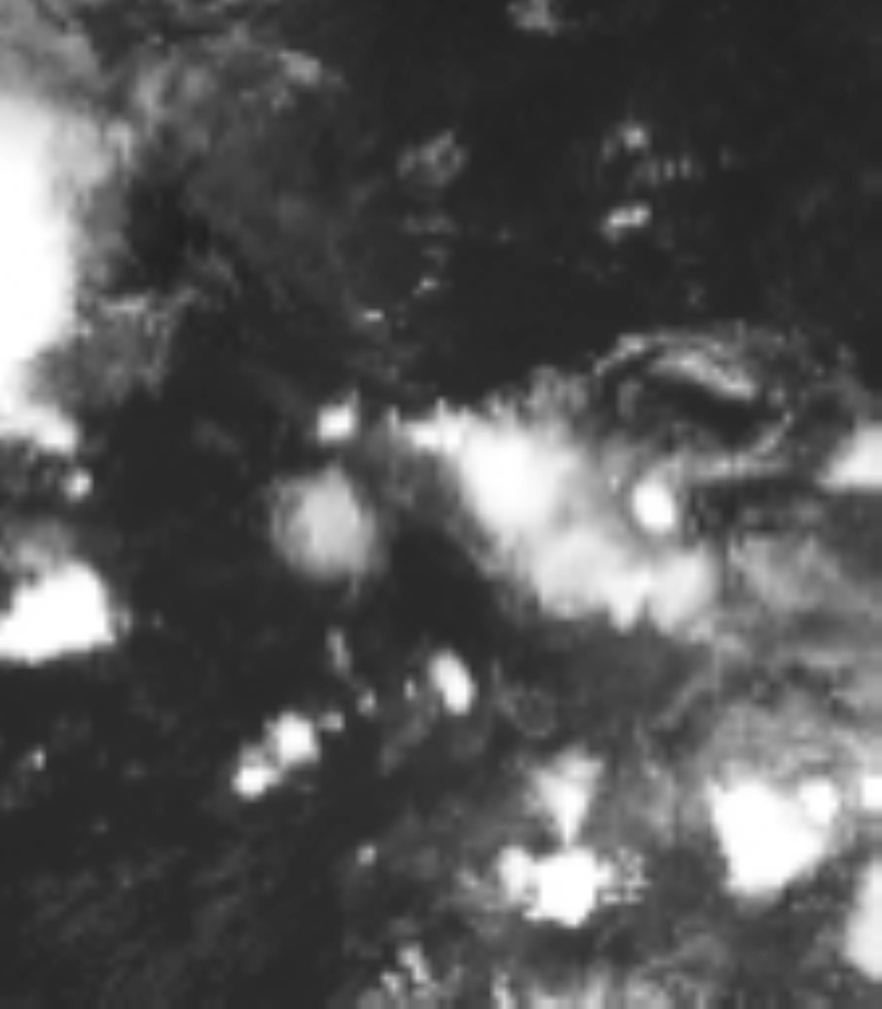satLayer