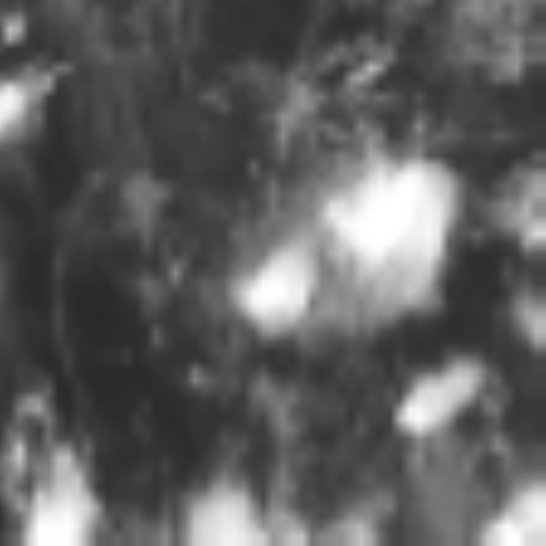 satLayer