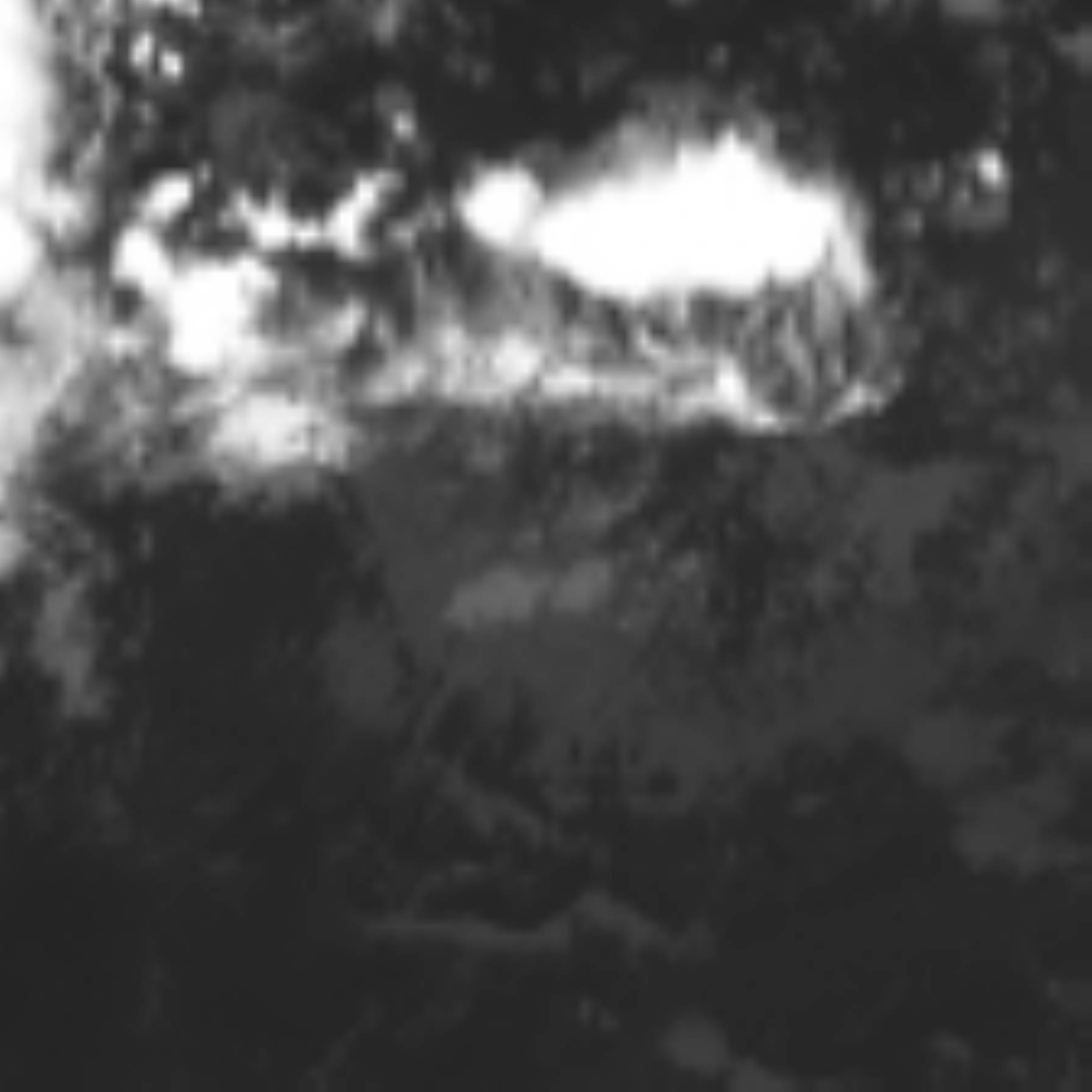 satLayer