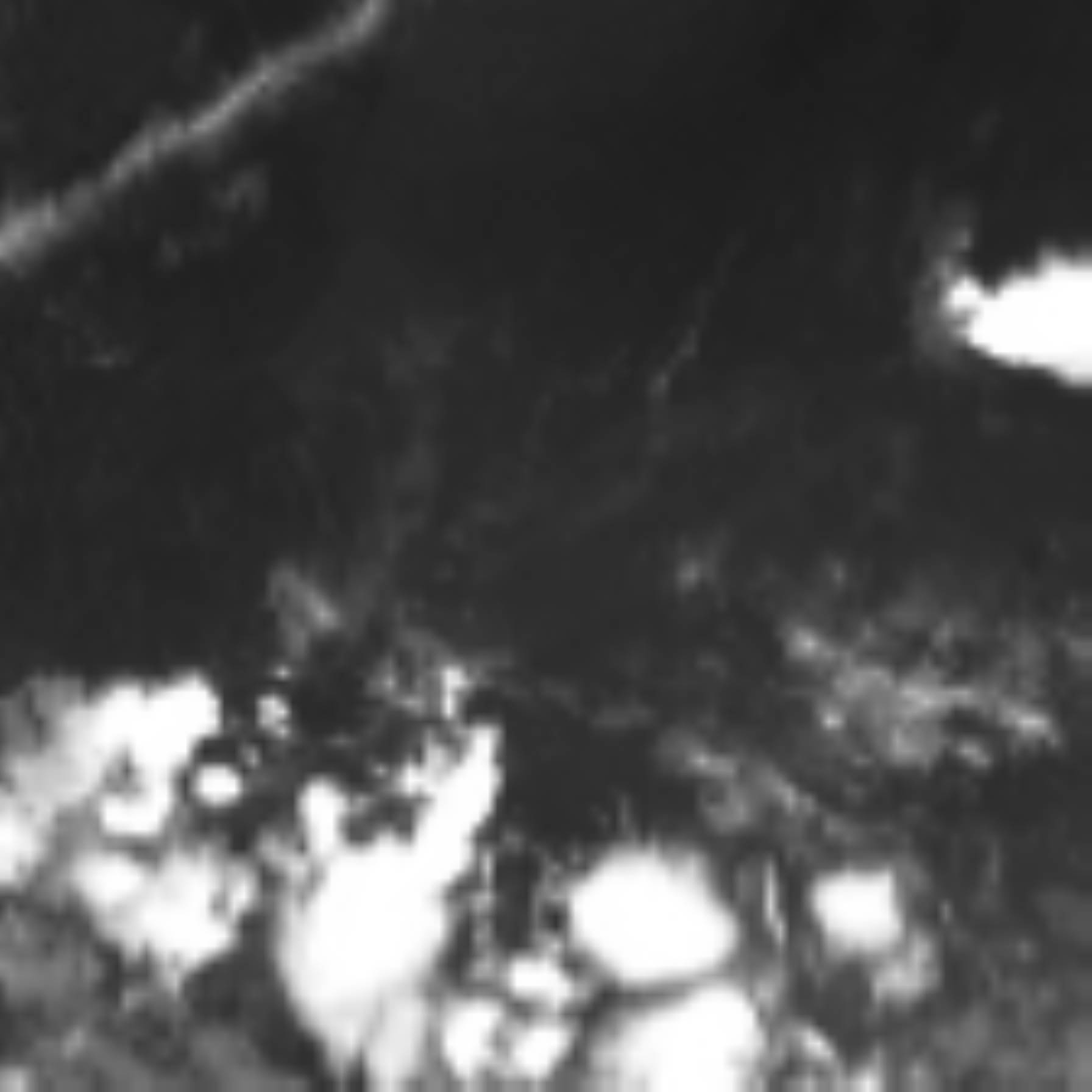 satLayer