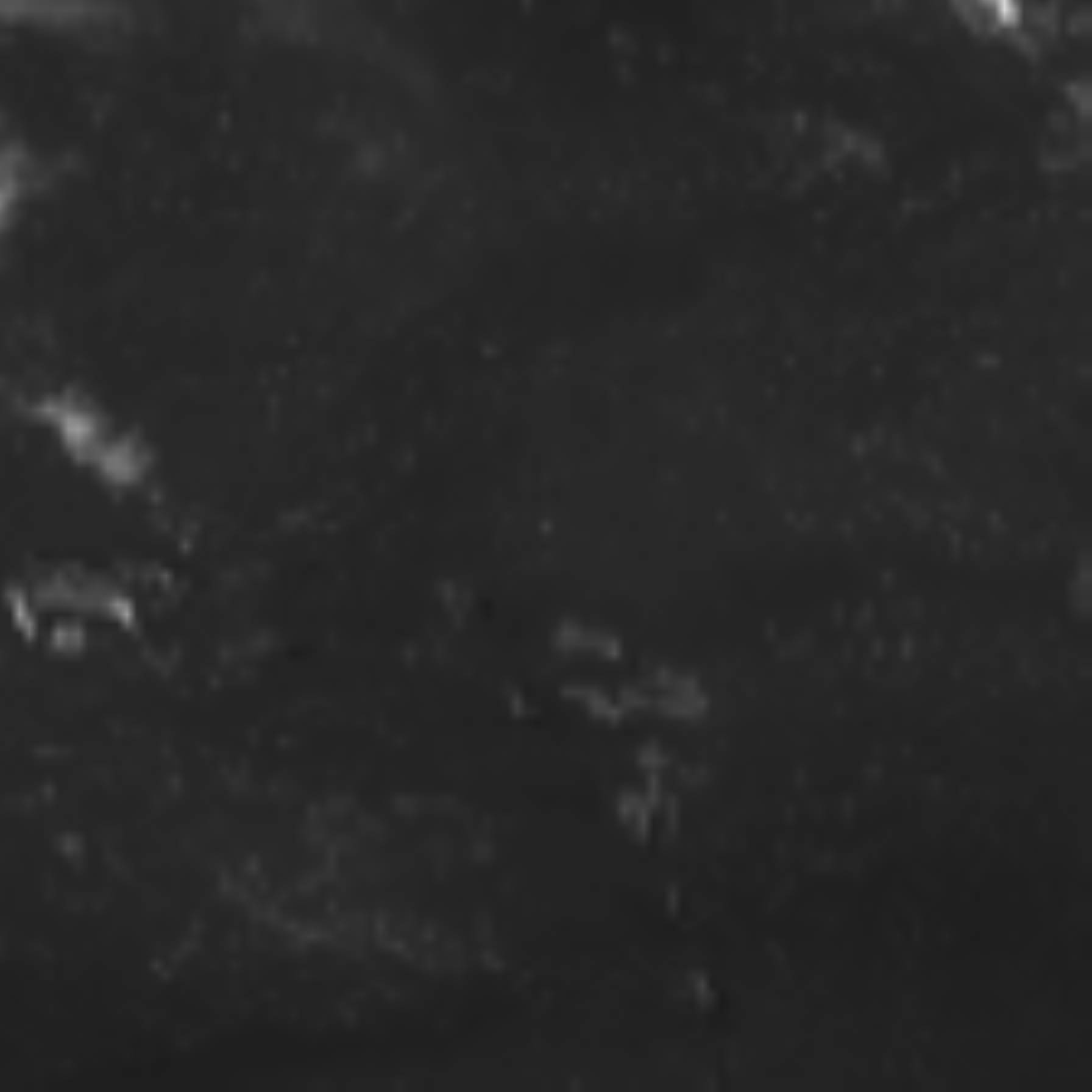satLayer