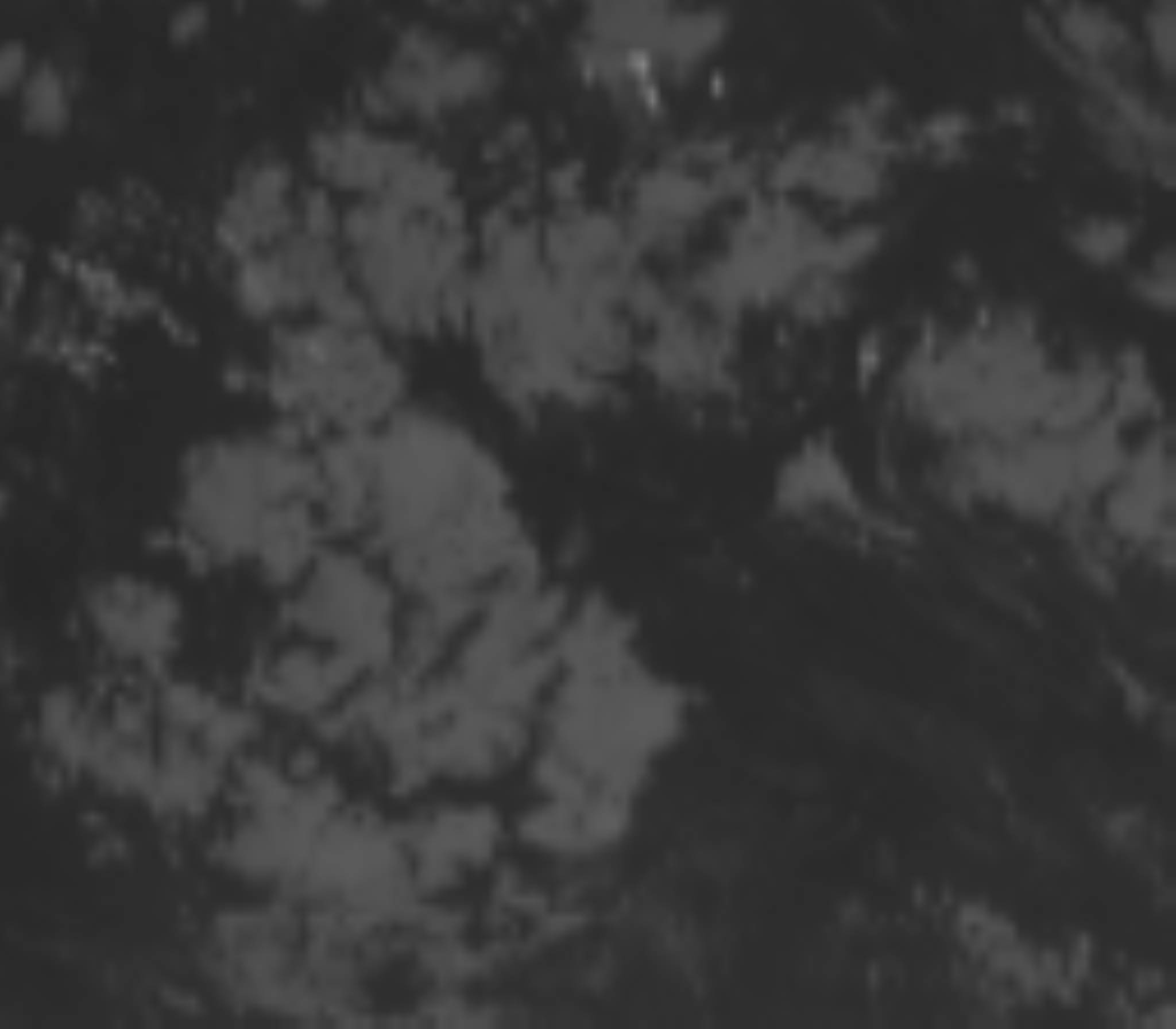 satLayer