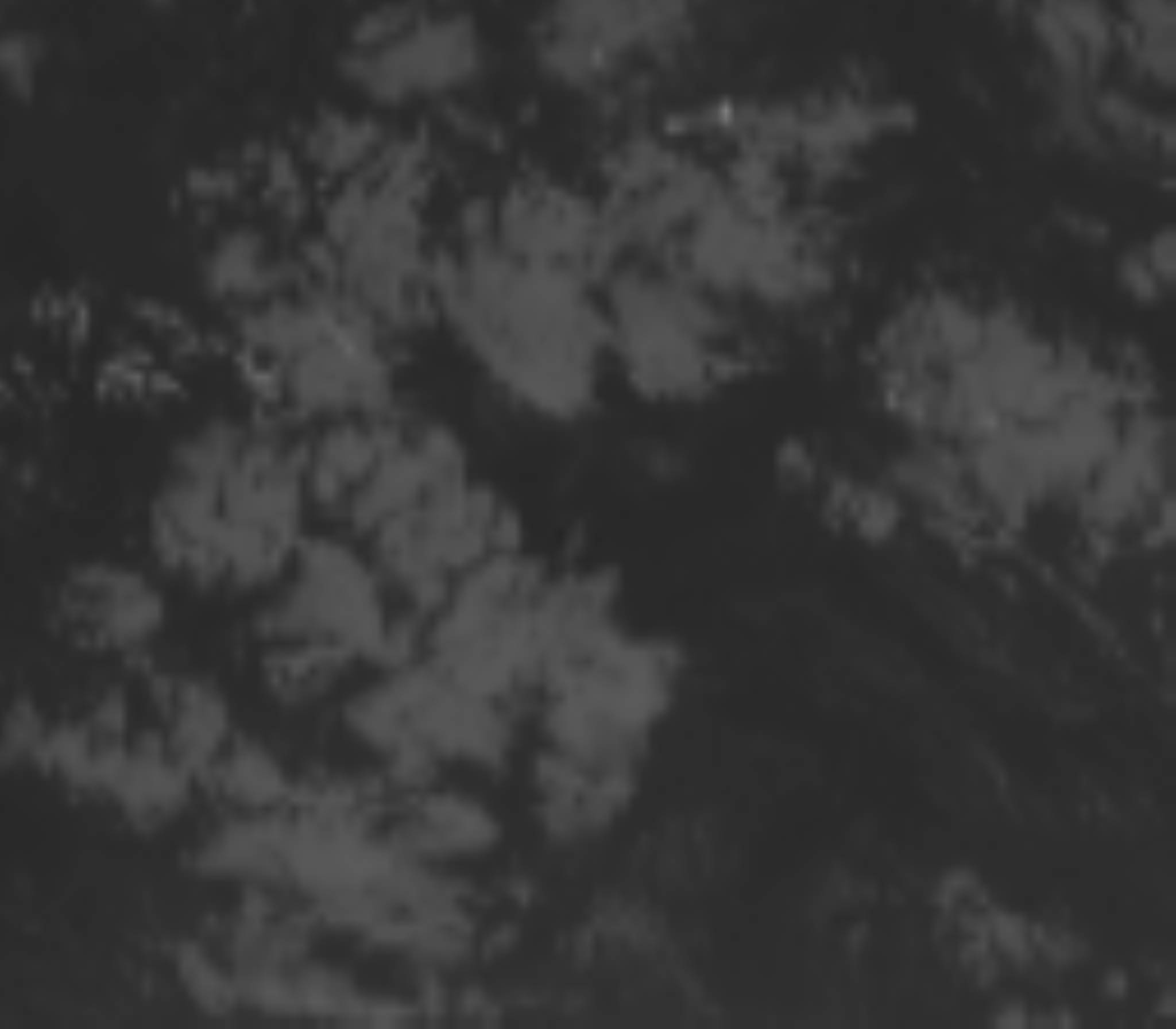 satLayer