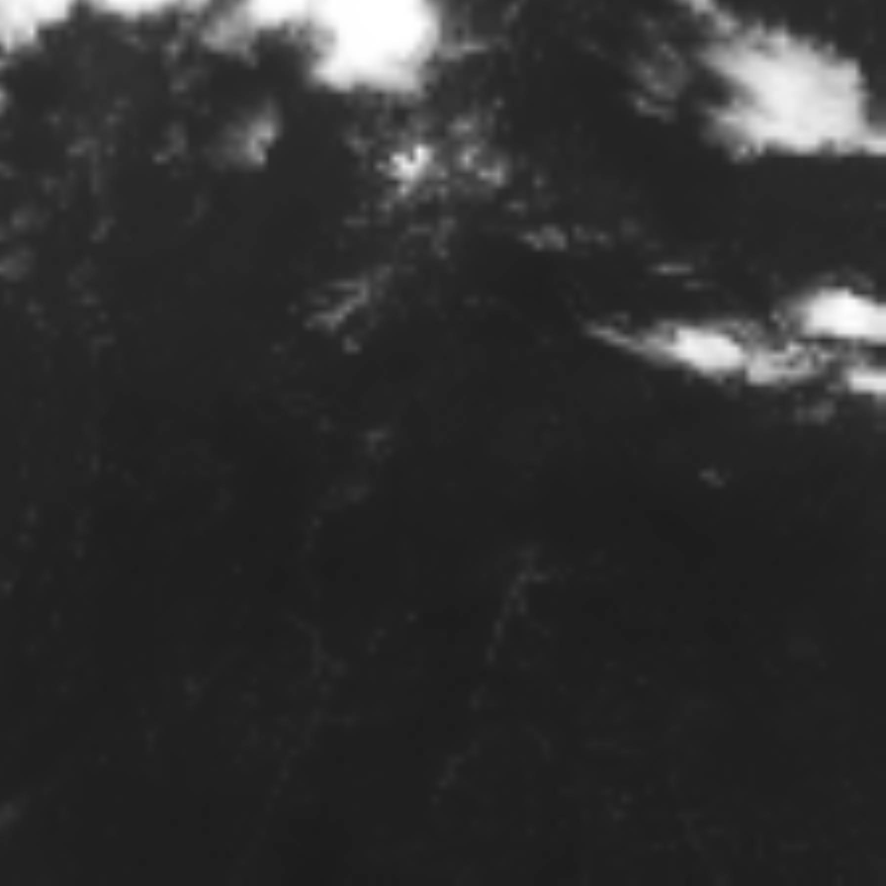 satLayer