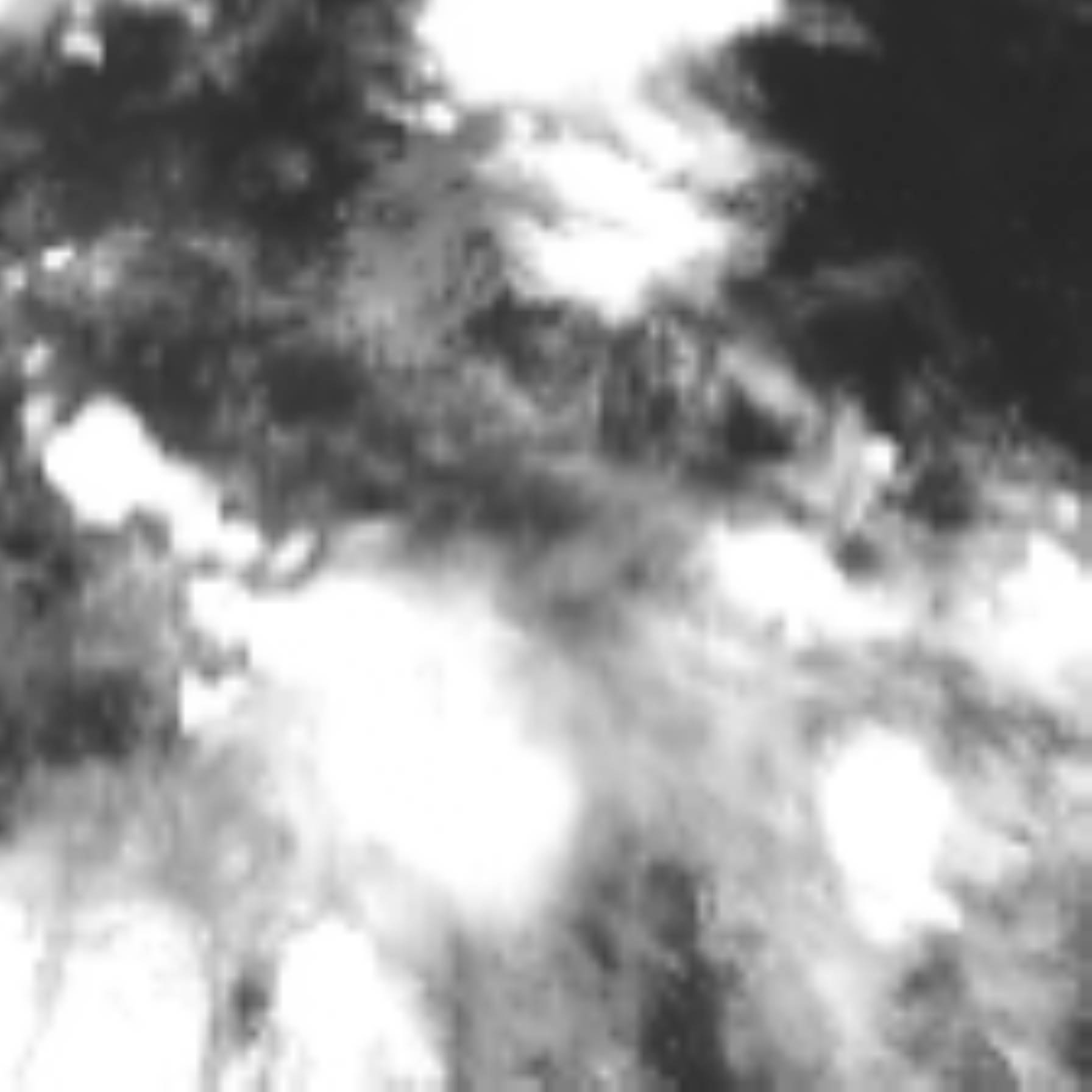 satLayer
