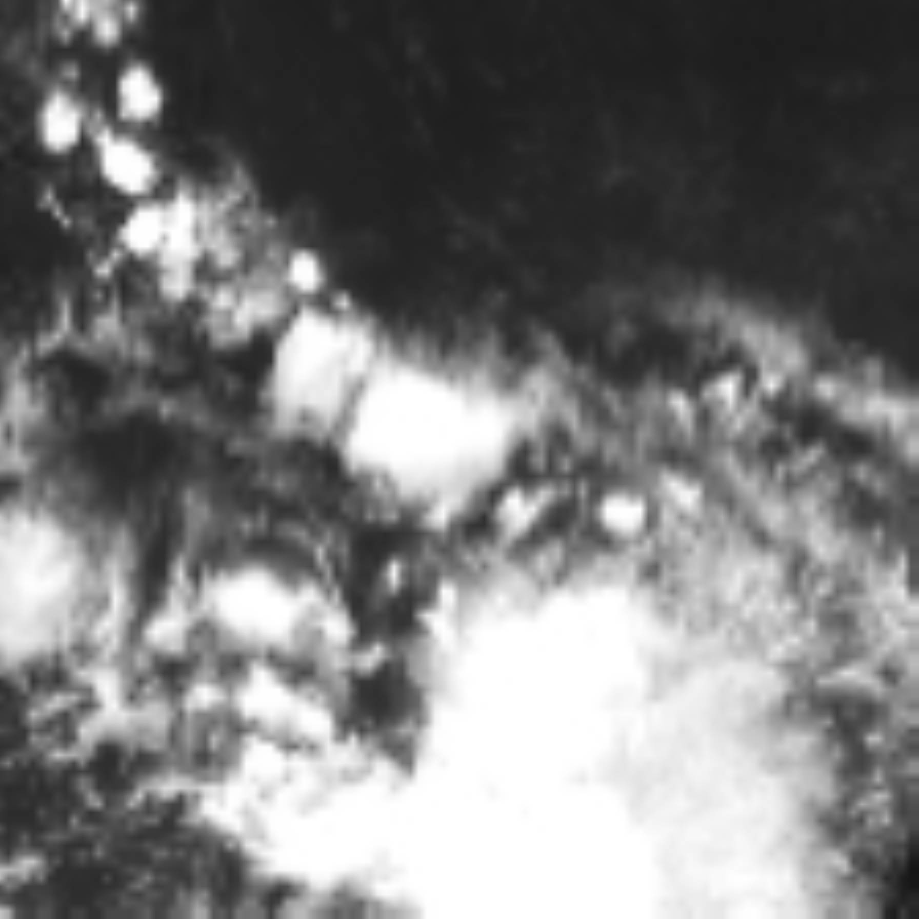 satLayer
