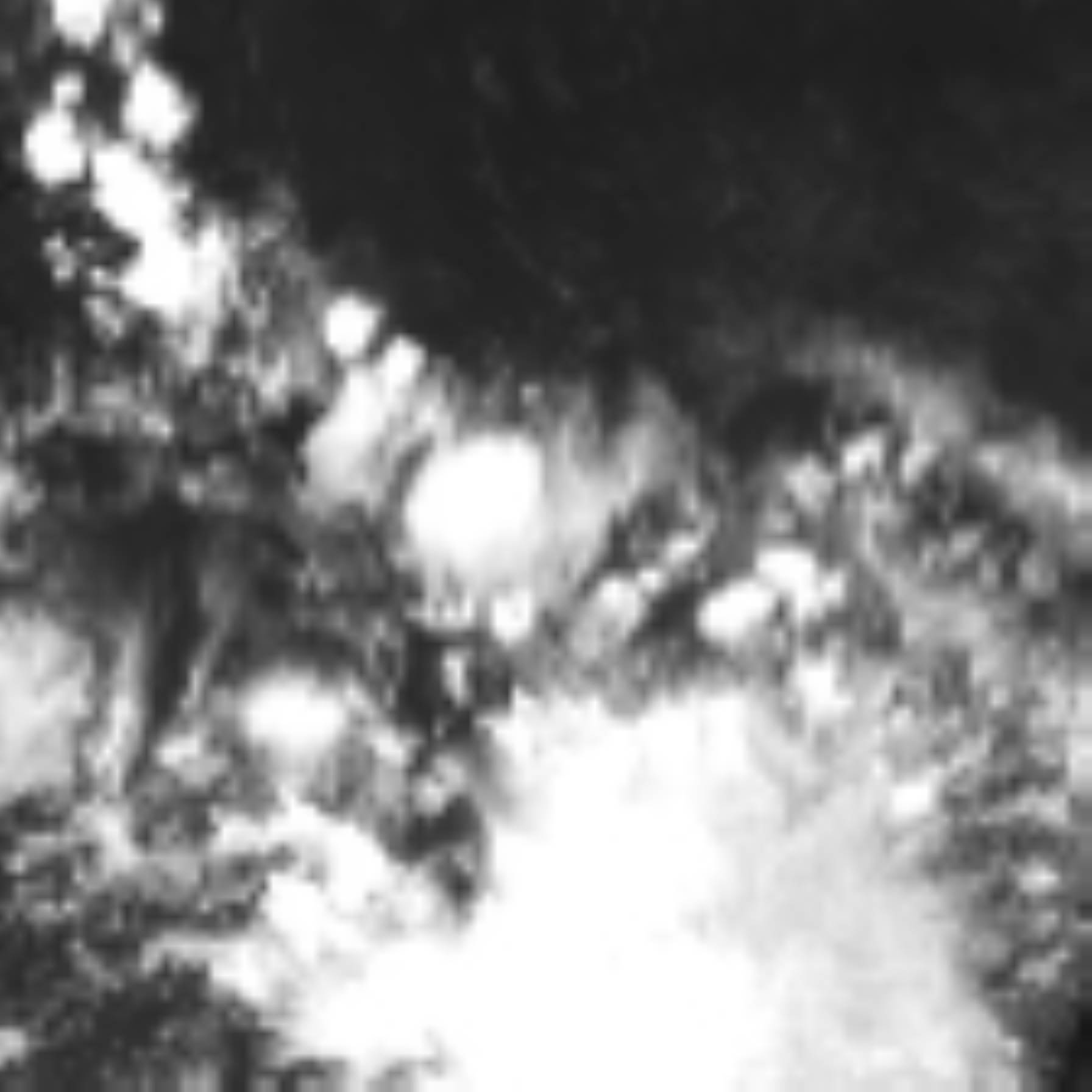 satLayer