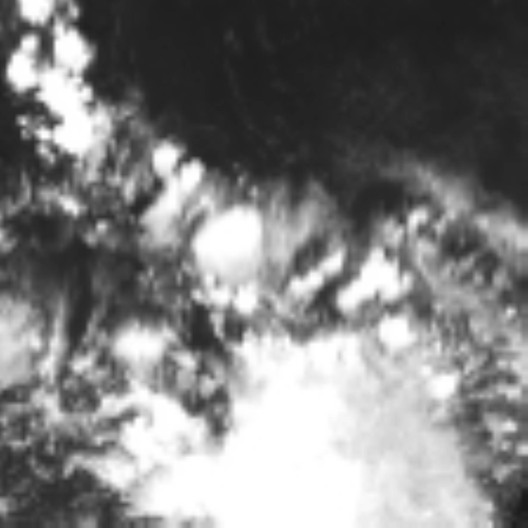 satLayer