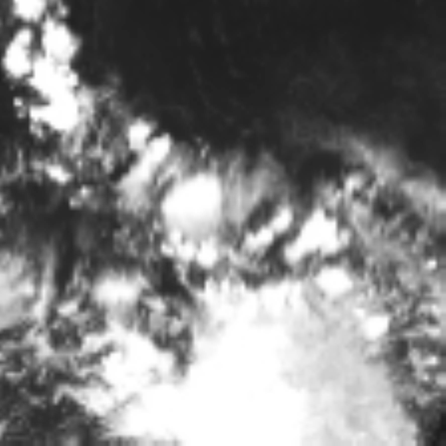 satLayer