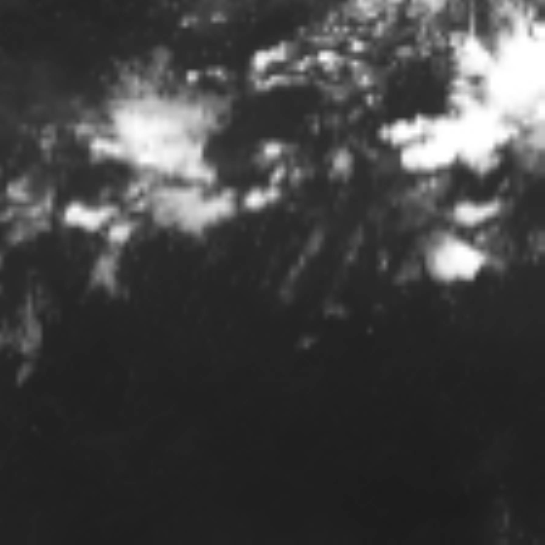 satLayer