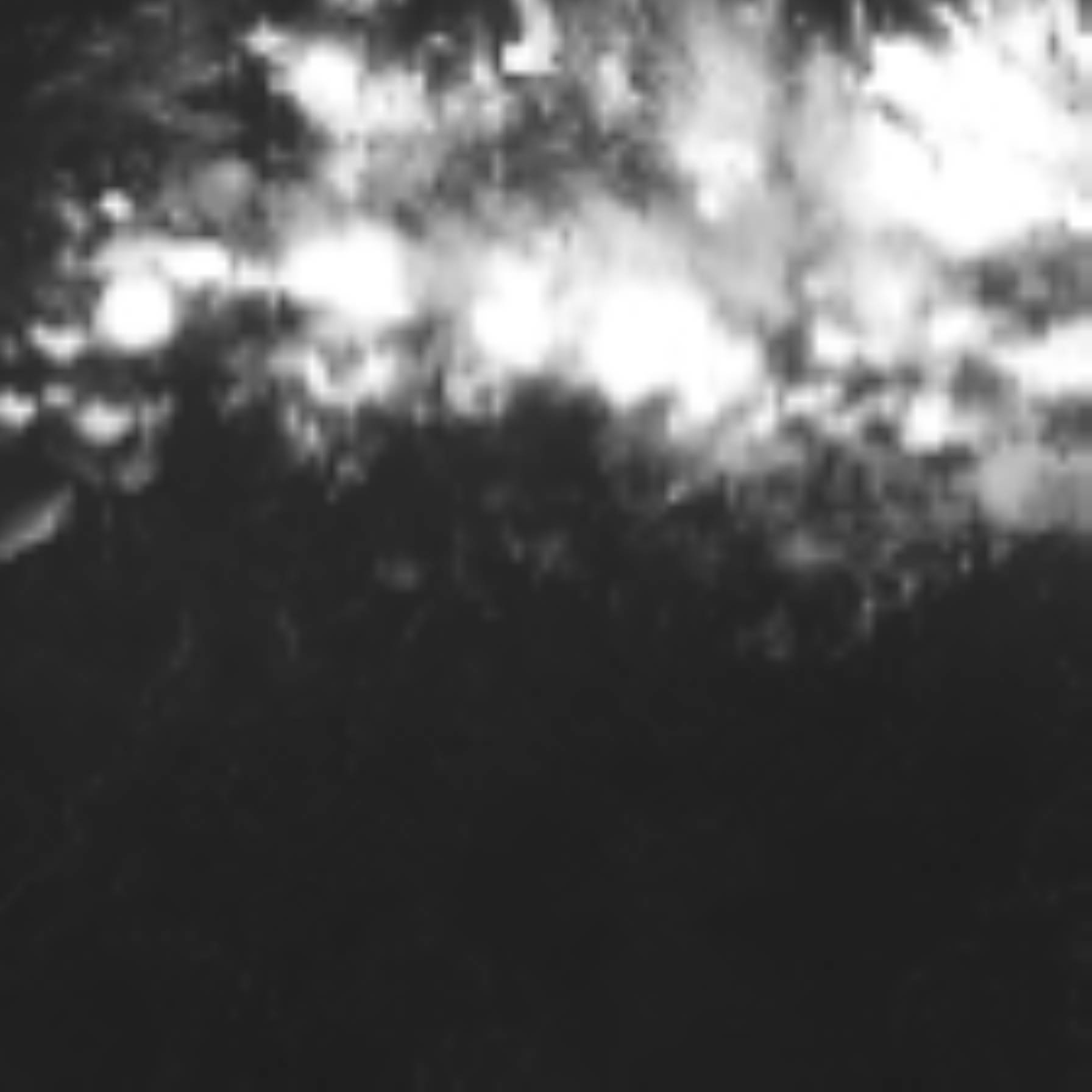 satLayer