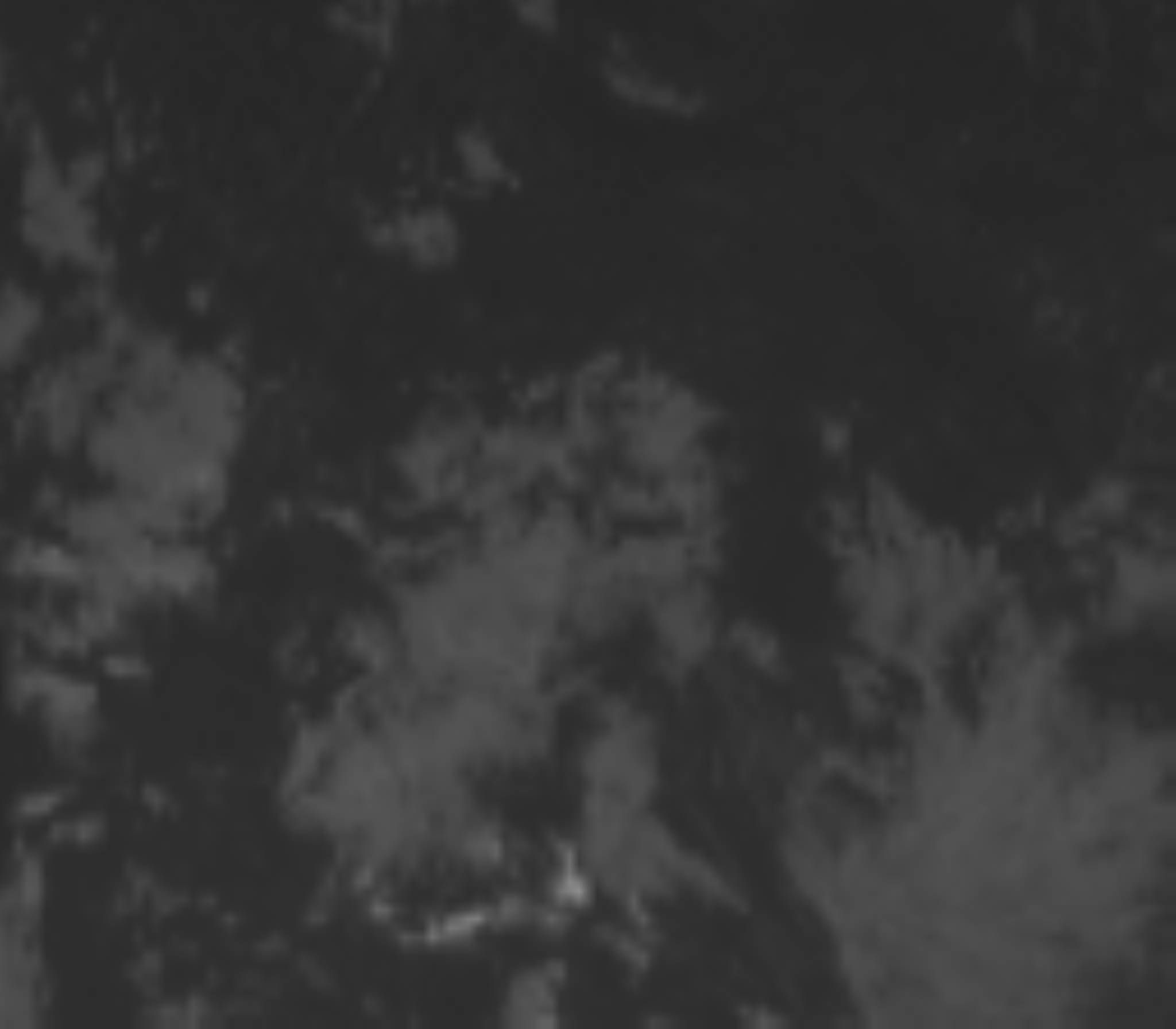satLayer