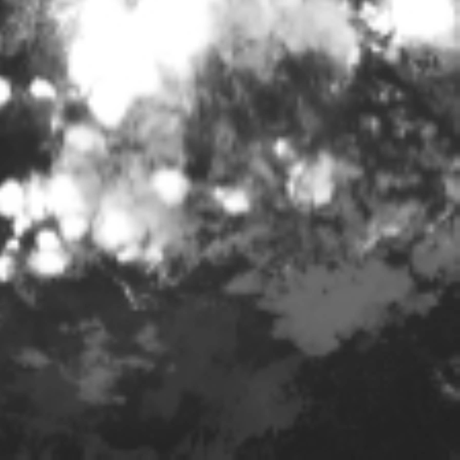 satLayer