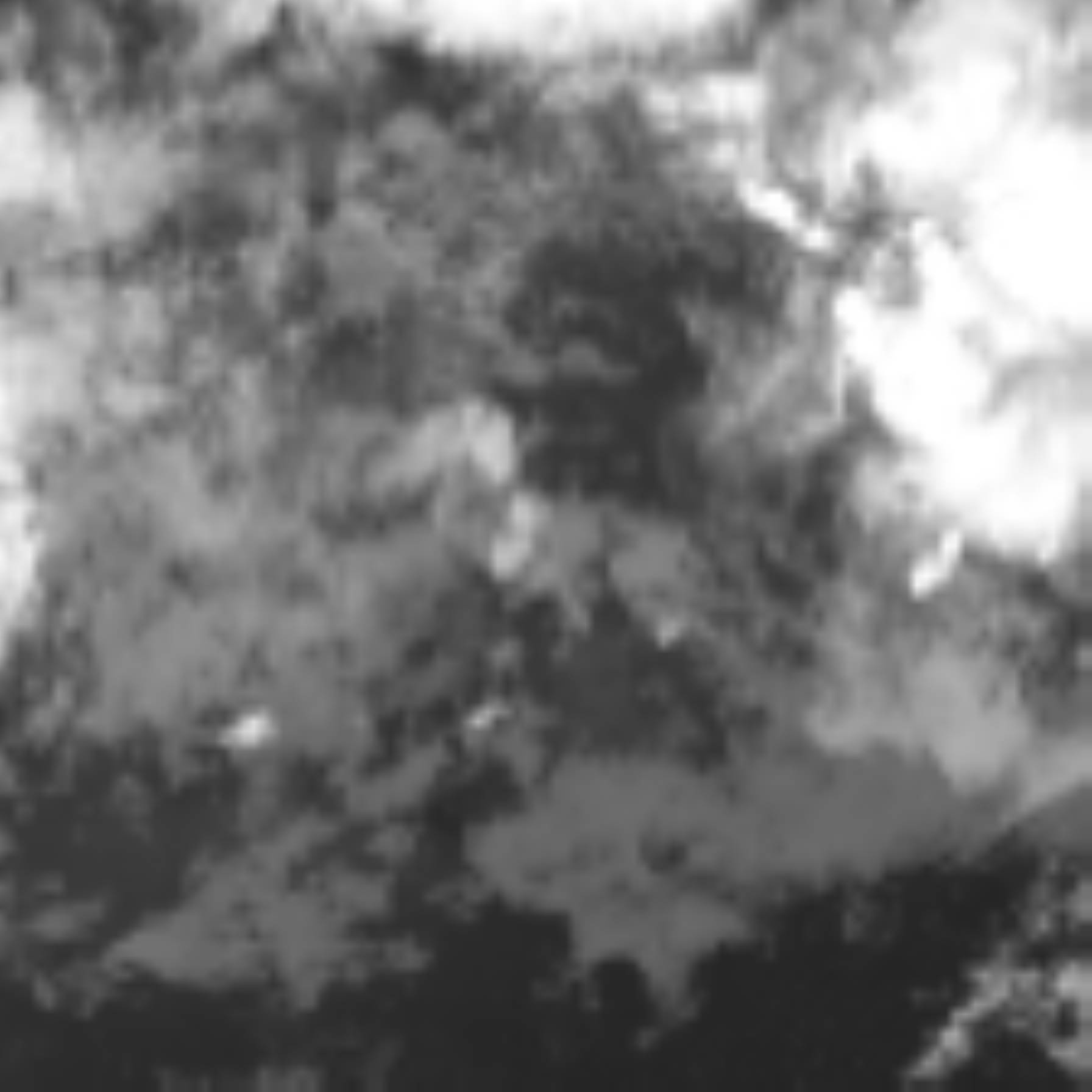 satLayer