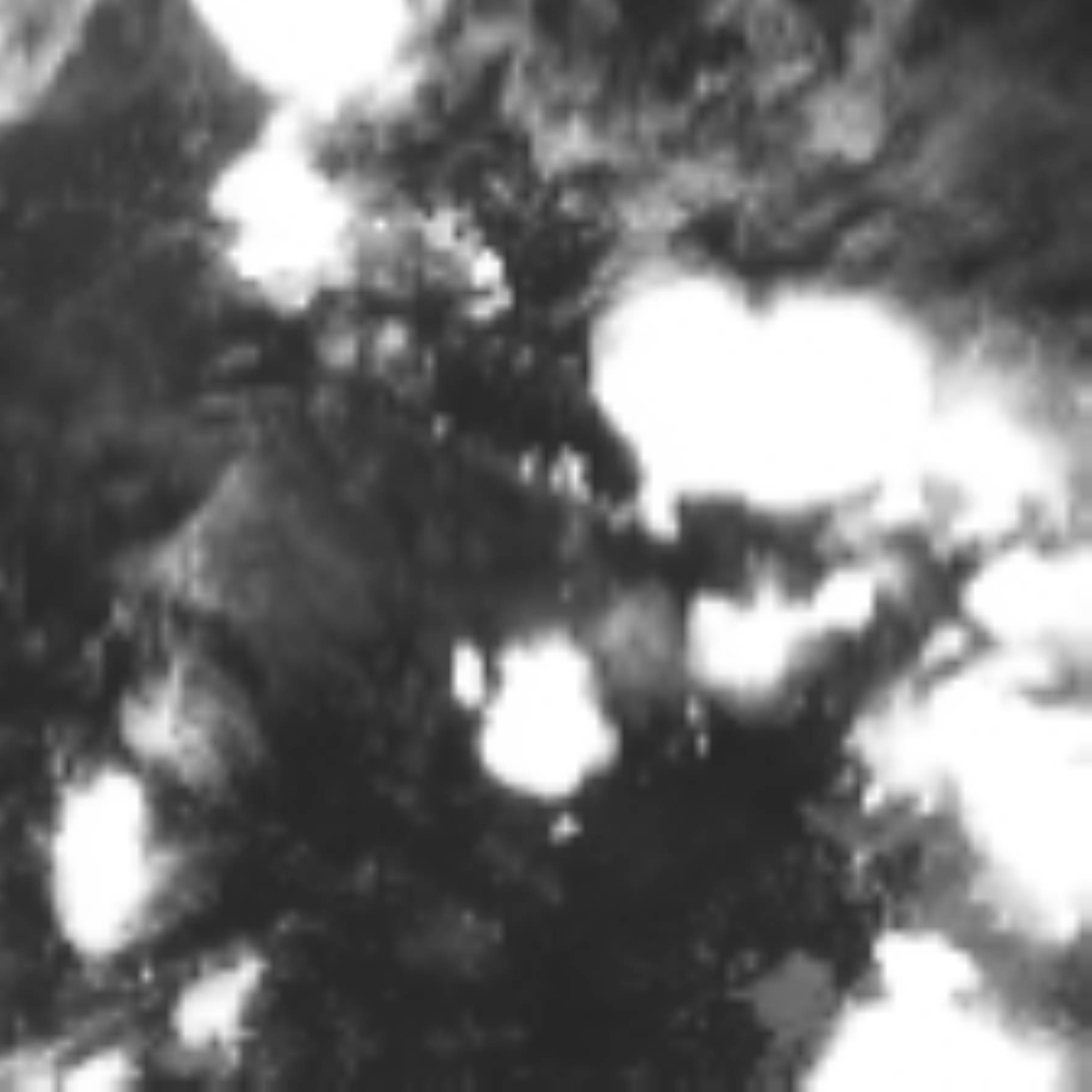satLayer