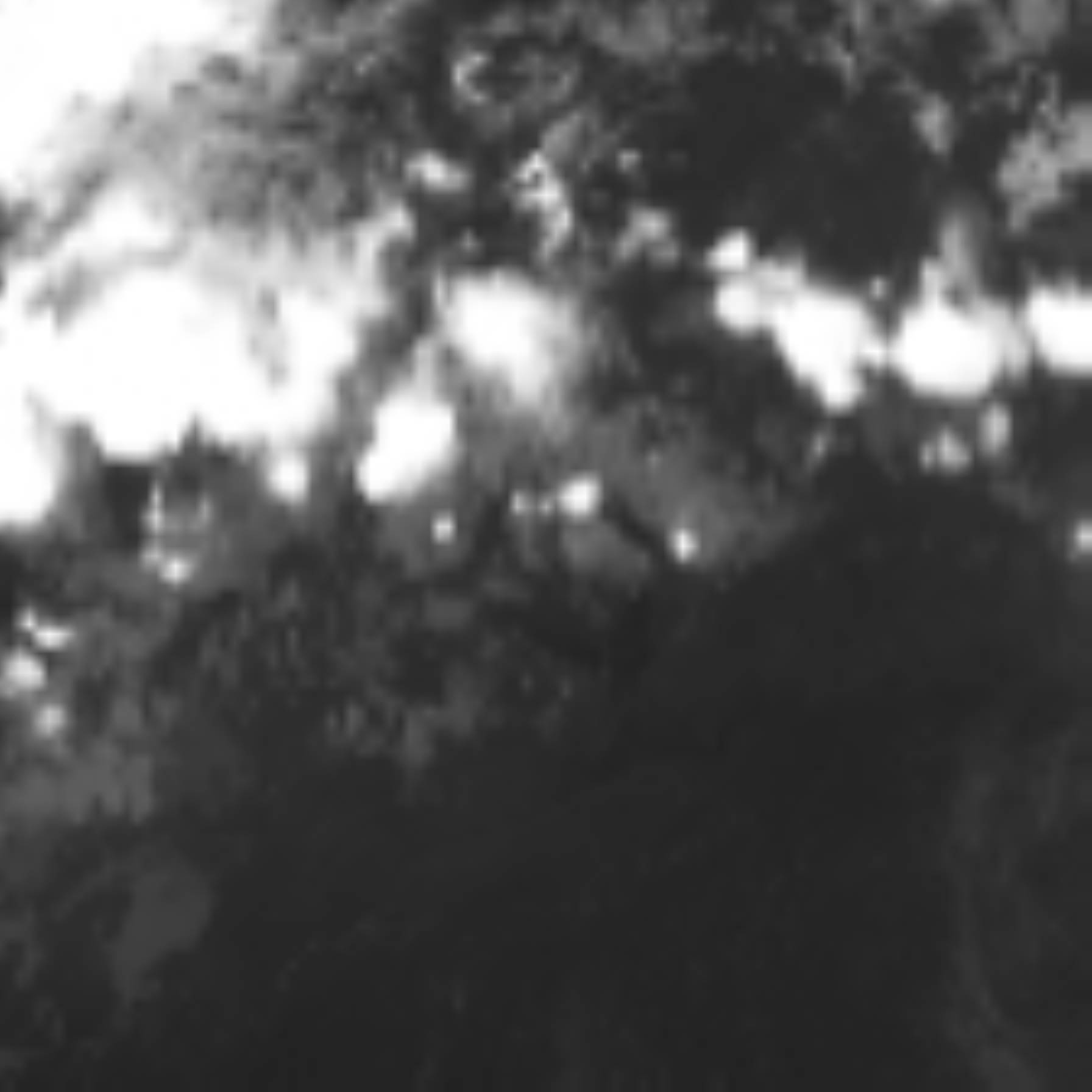 satLayer