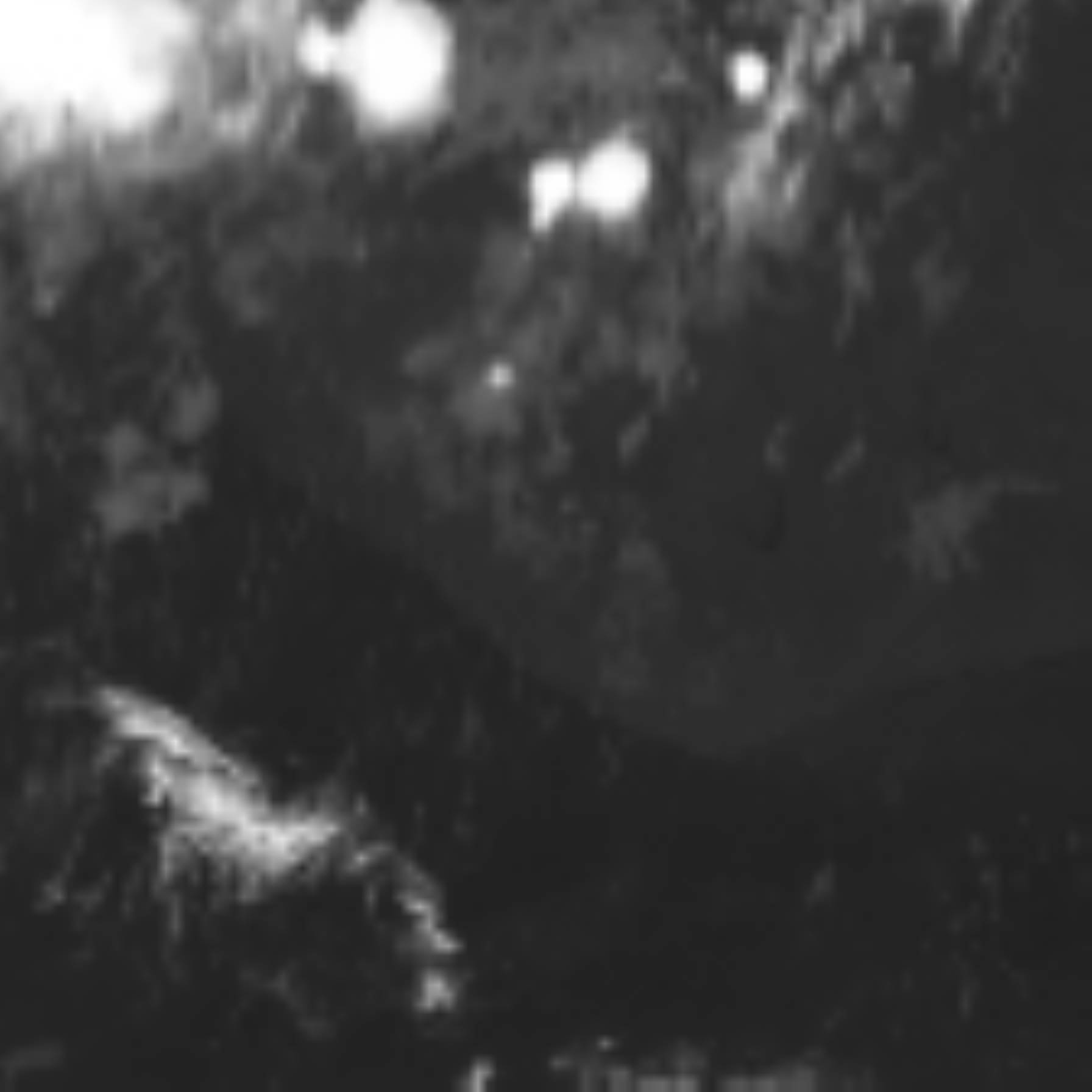 satLayer