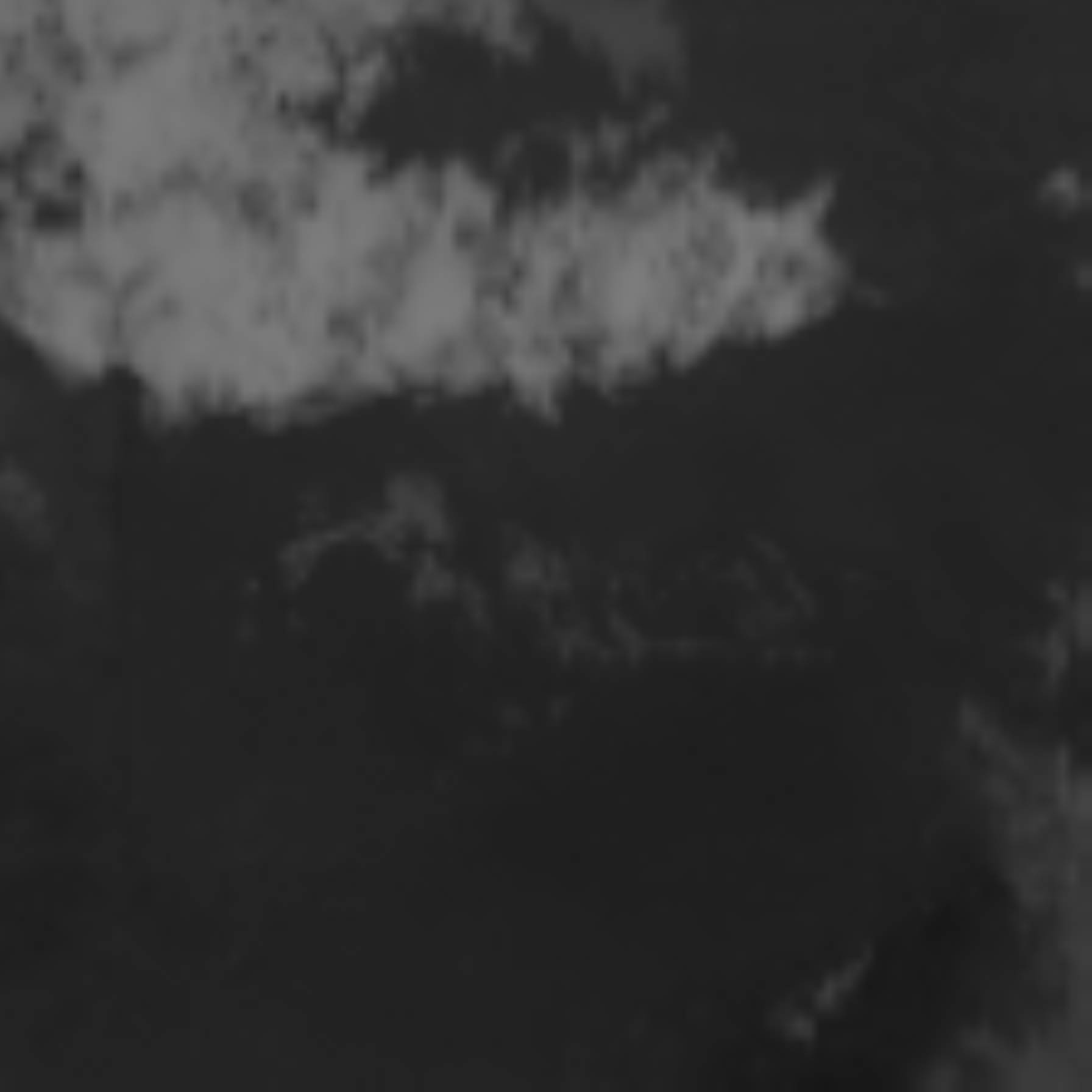 satLayer