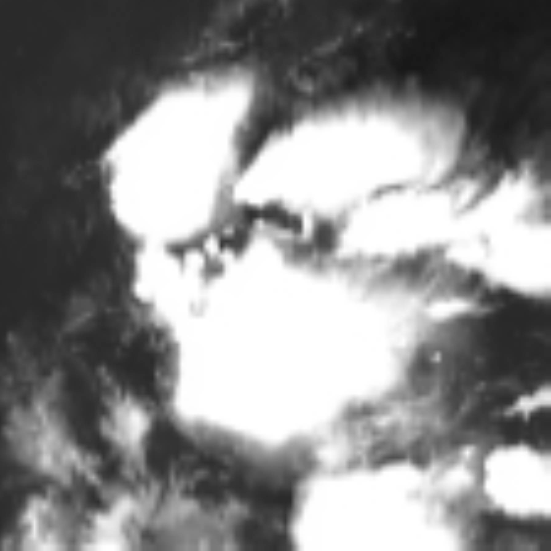 satLayer