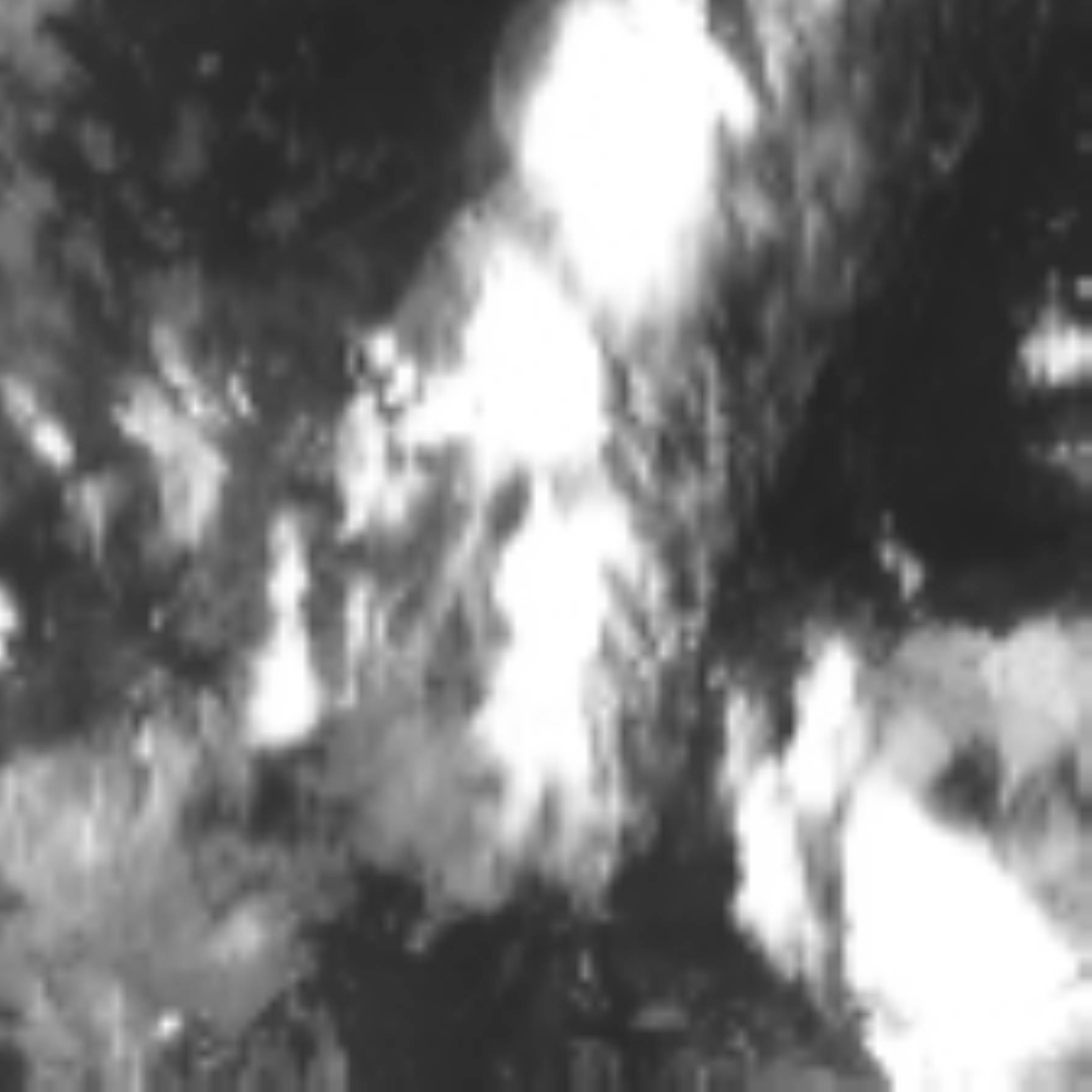 satLayer