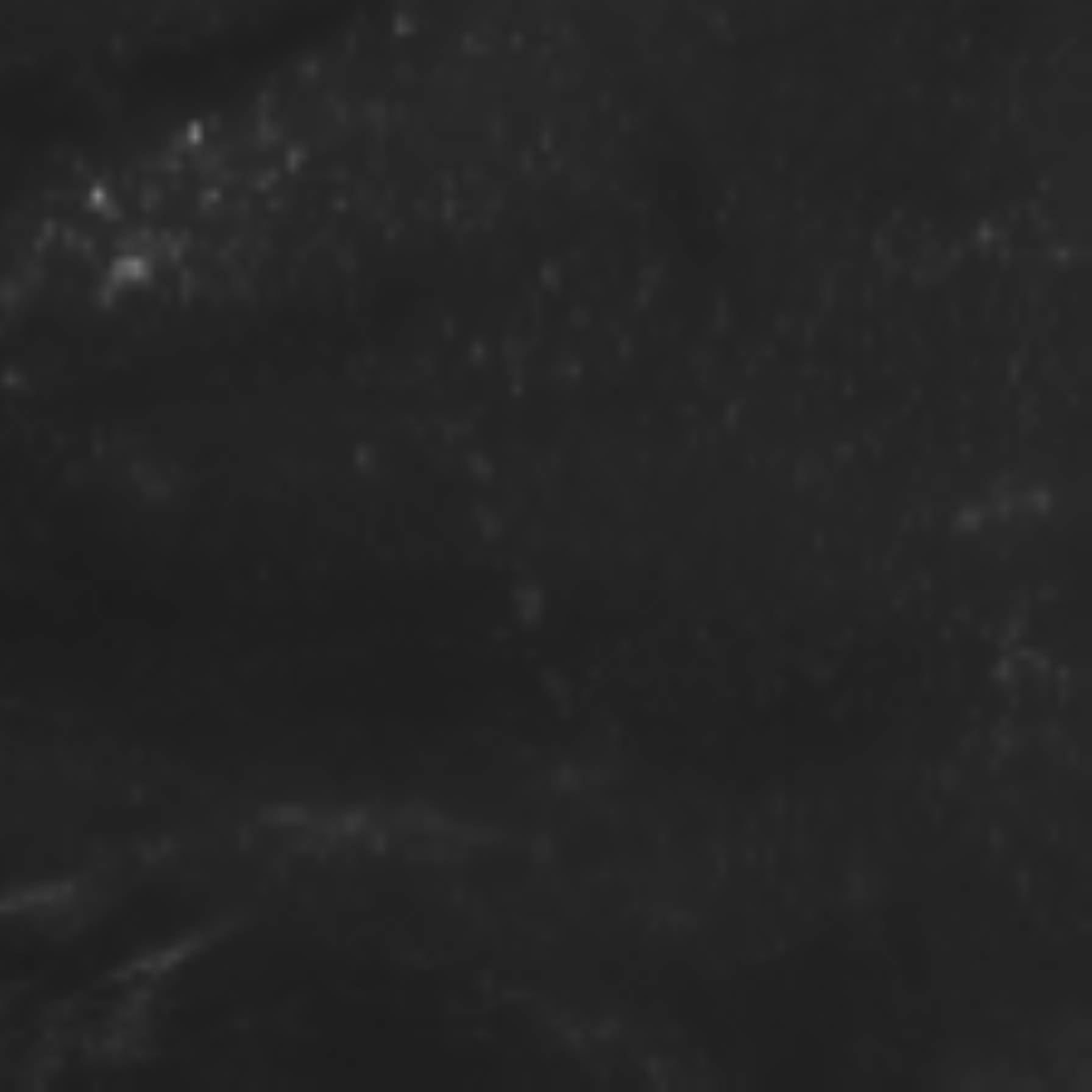 satLayer