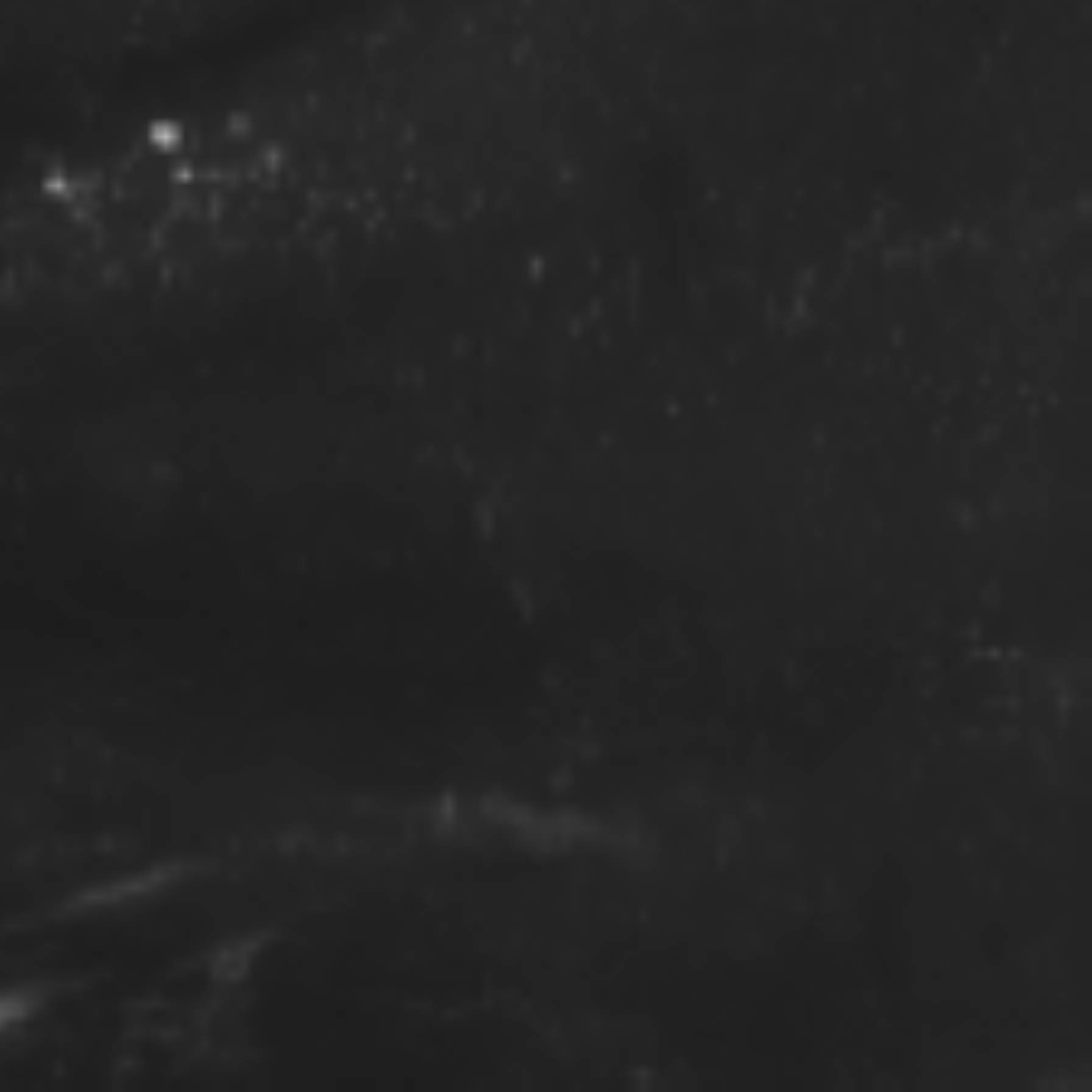 satLayer