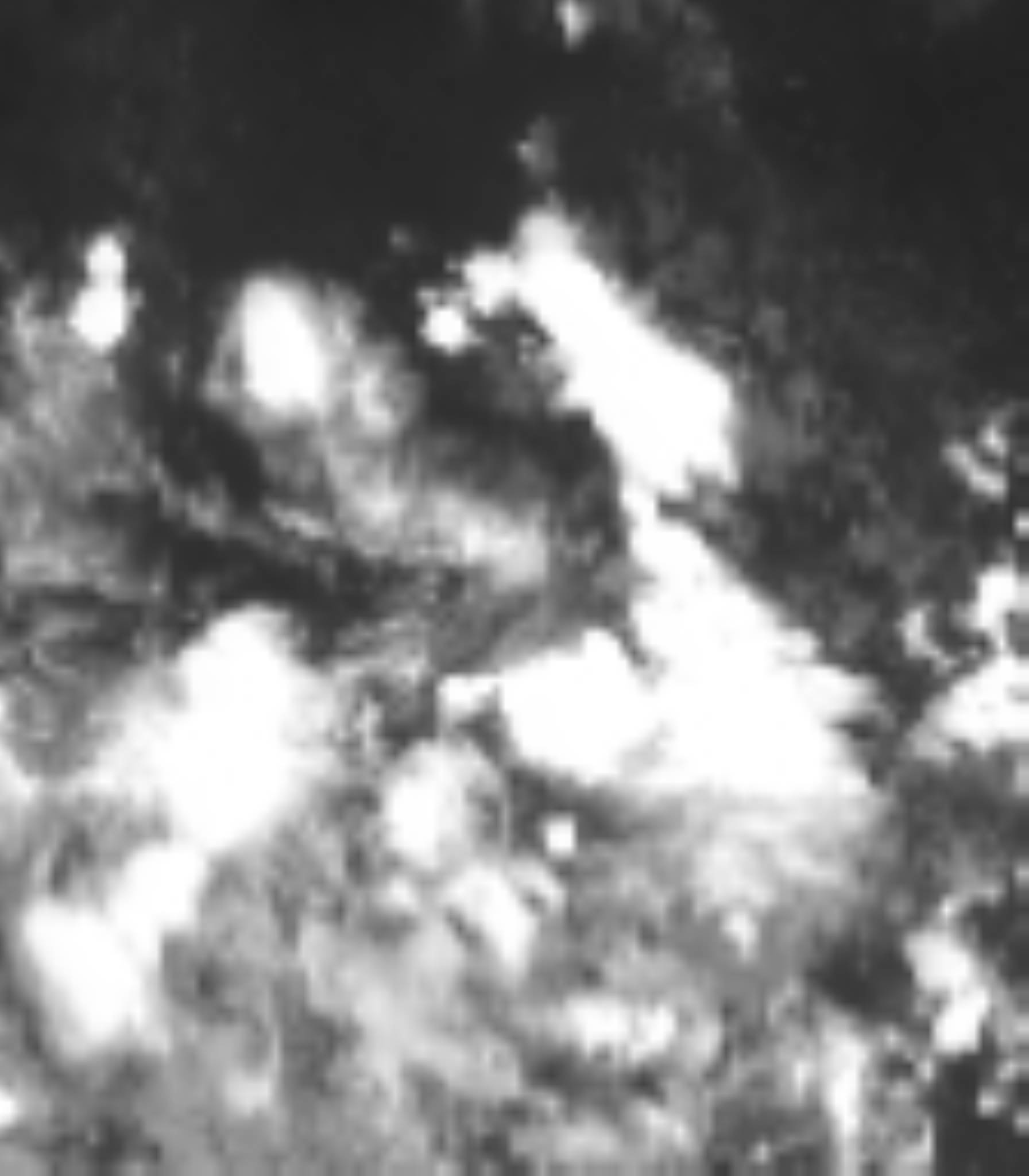 satLayer