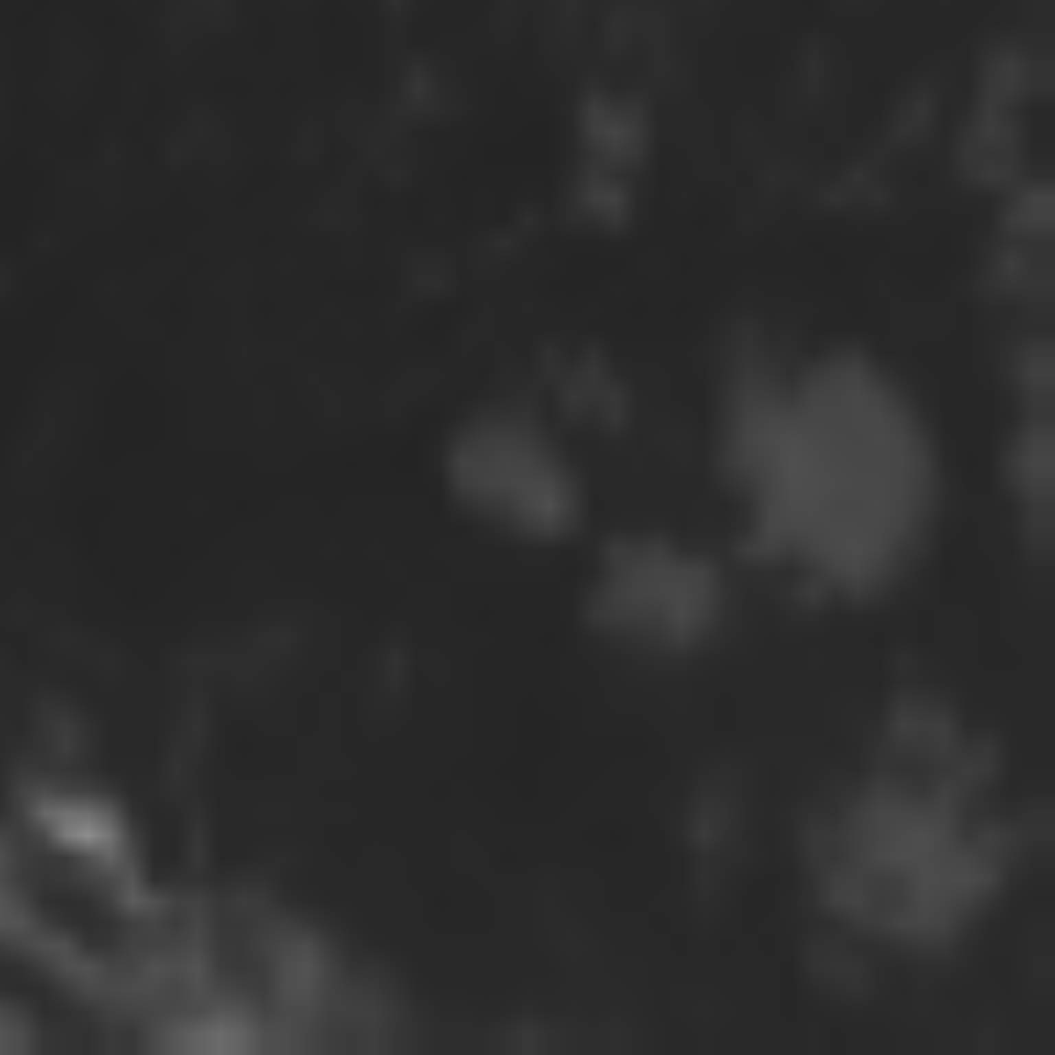 satLayer